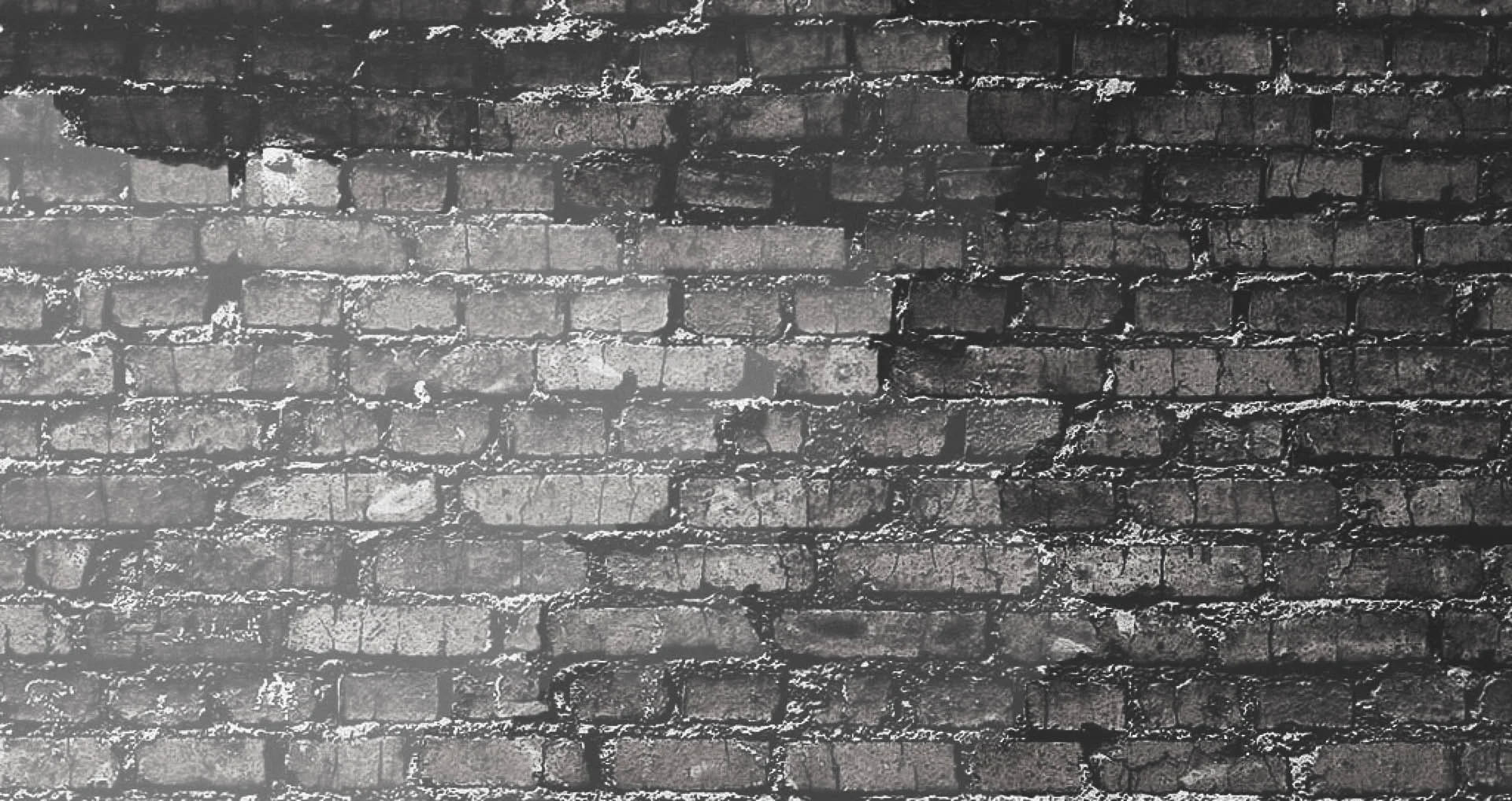 website cover no text copy.jpg