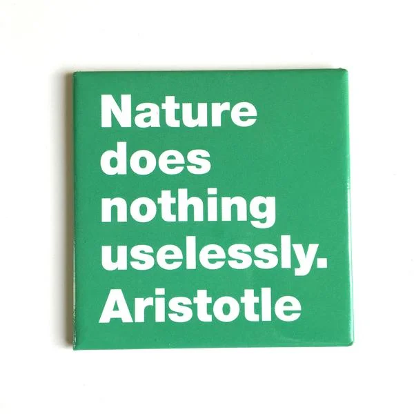 nature_grande-1.jpg
