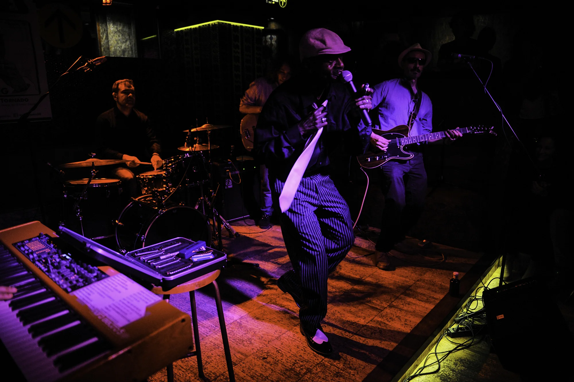 BIRDLEGG SALA NIAGARA 09.jpg