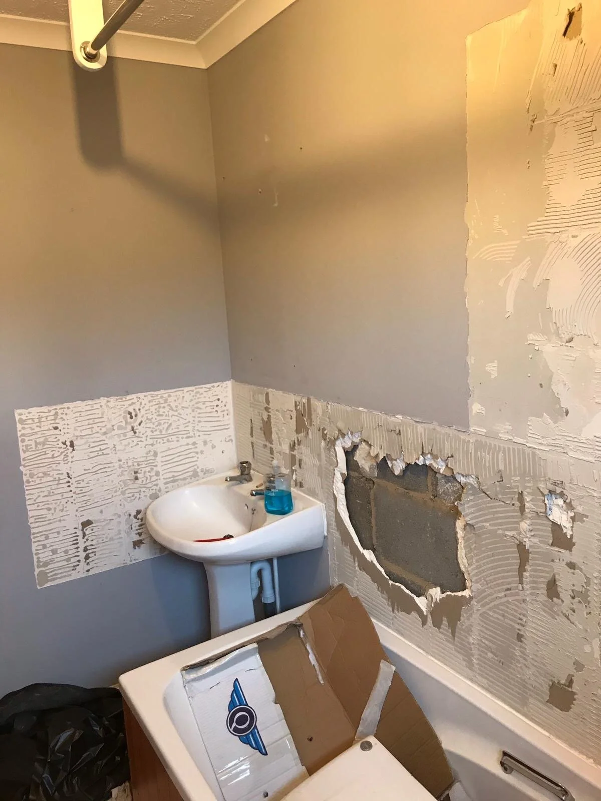 bathroom before 2.JPG