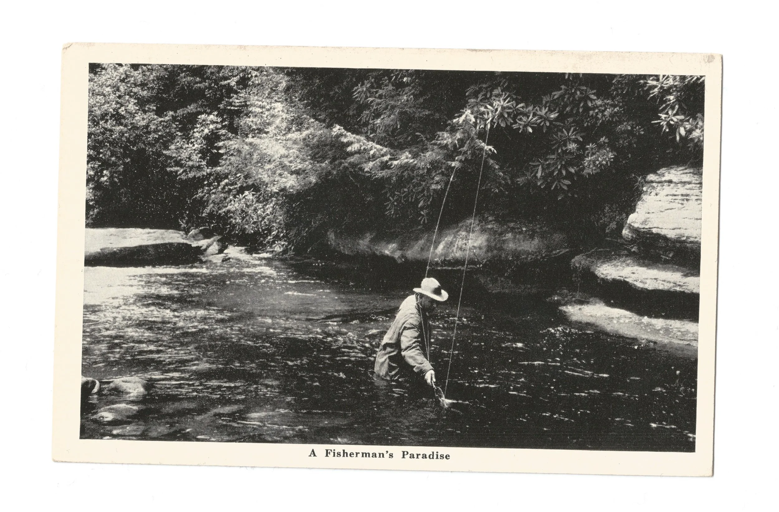 A FISHERMAN'S PARADISE 1.jpeg