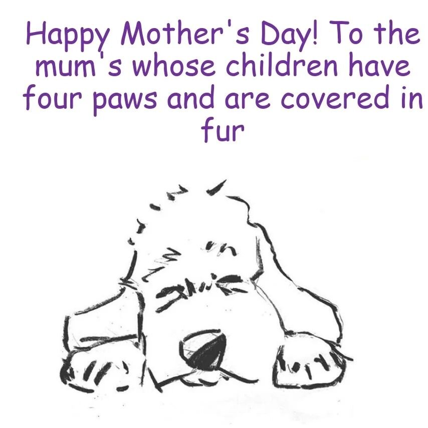 From all of us at Doggie Sweetdreamz.

#happymothersday #pawrents #homefromhome #homefromhomedogboarding
