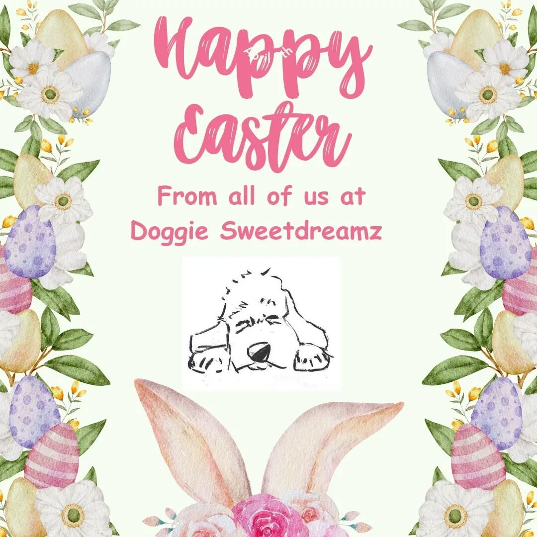 We hope you are all having an eggcellent day!

#easter #happyeaster #dogboarding #homefromhome #homefromhomedogboarding #doghomeboarding