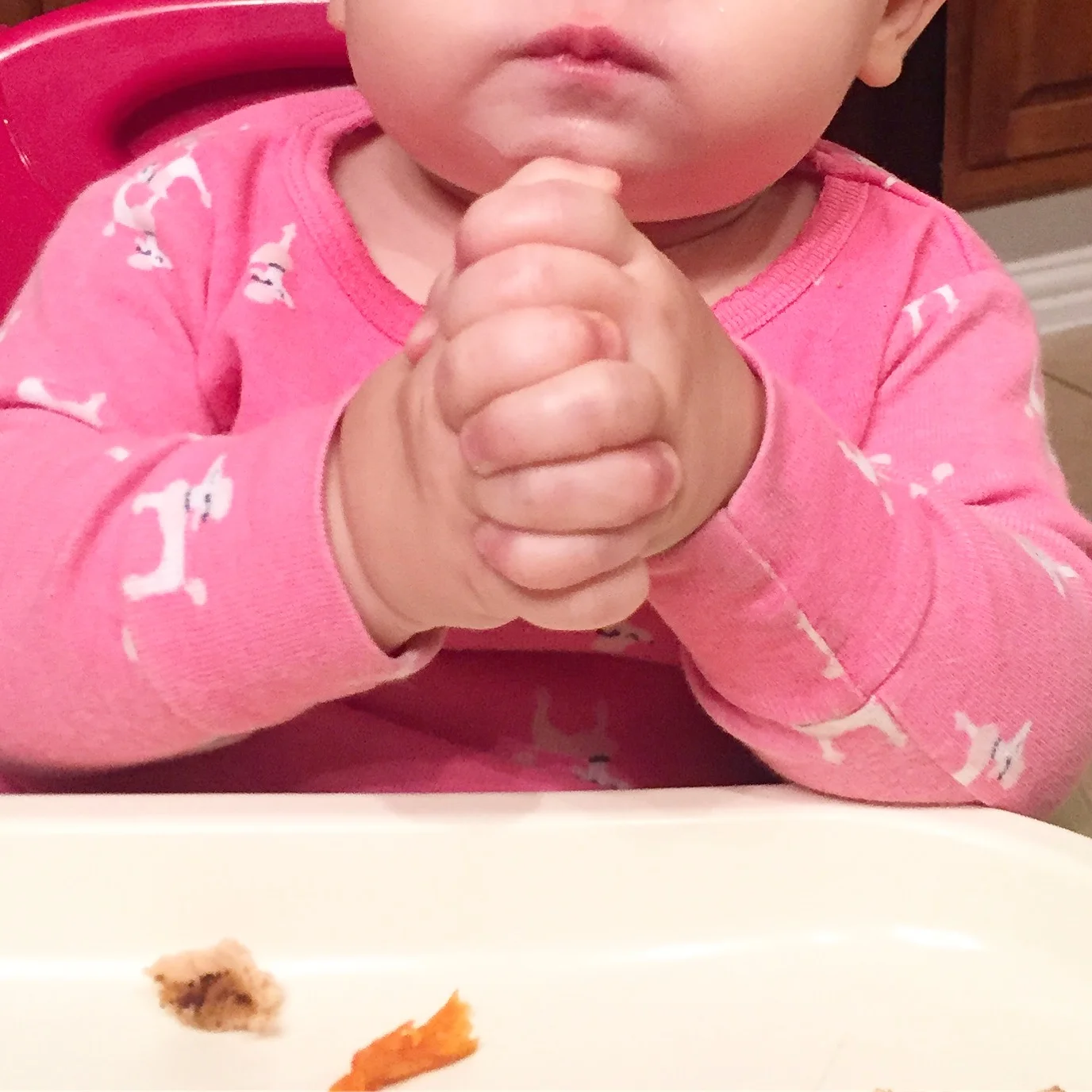 Baby Sign Language Beginner's Guide