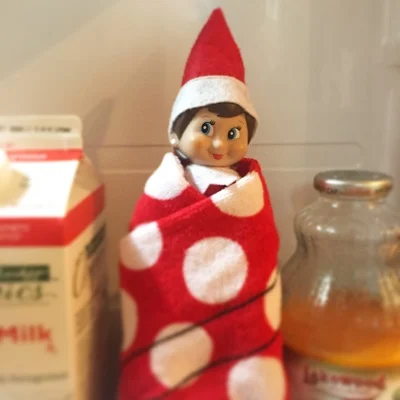 elf on the shelf in the fridge.jpg