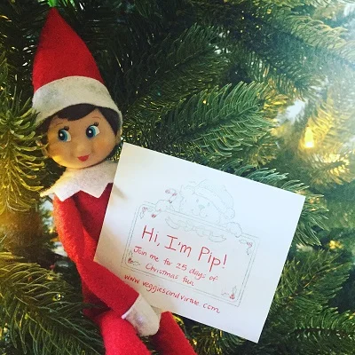 elf on the shelf introduction.jpg