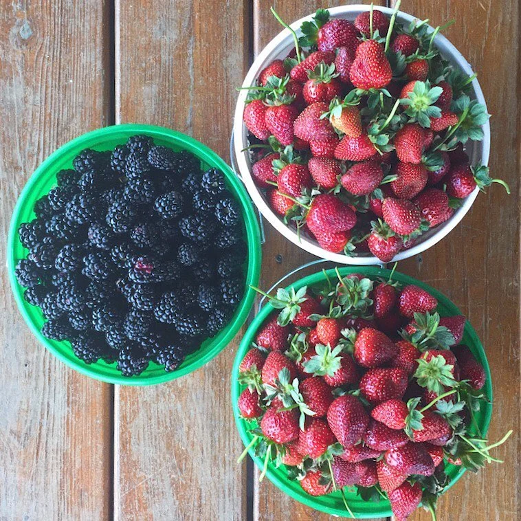produce.jpg