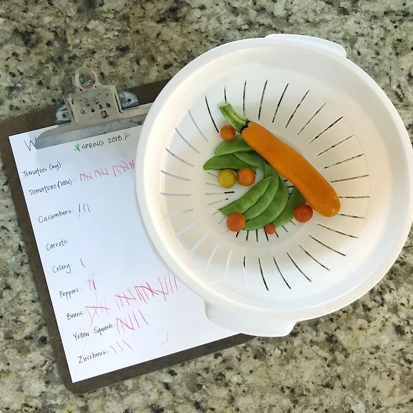 Gardening with Kids: July 2018 edition