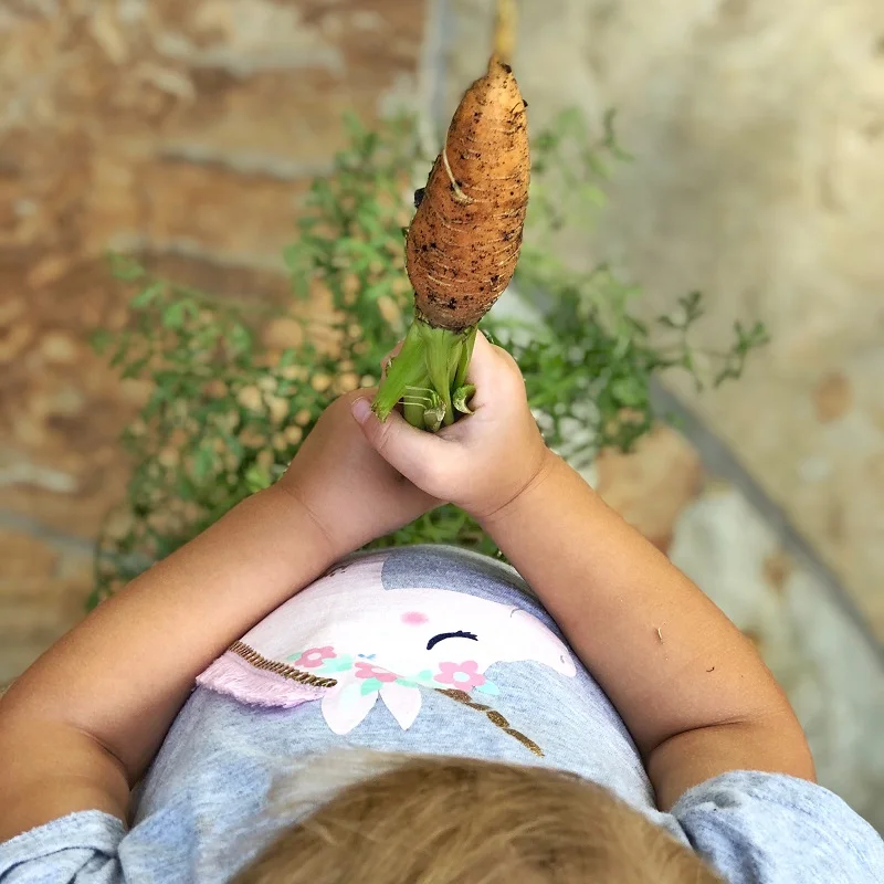 gardening with kids sweet potatoes 1.jpg