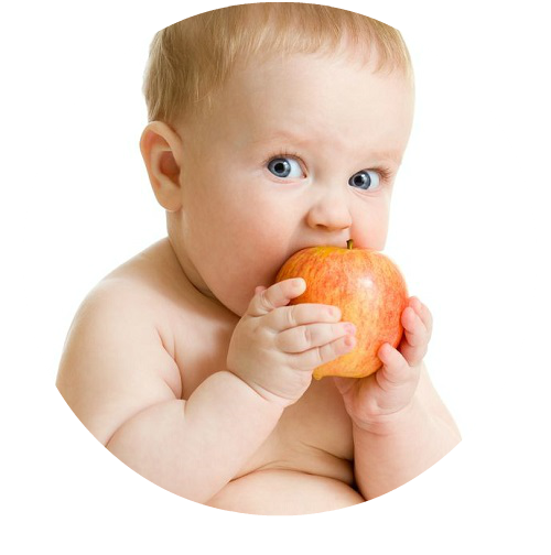 BLW whole apple 500x500 (2017_10_15 02_47_58 UTC).png