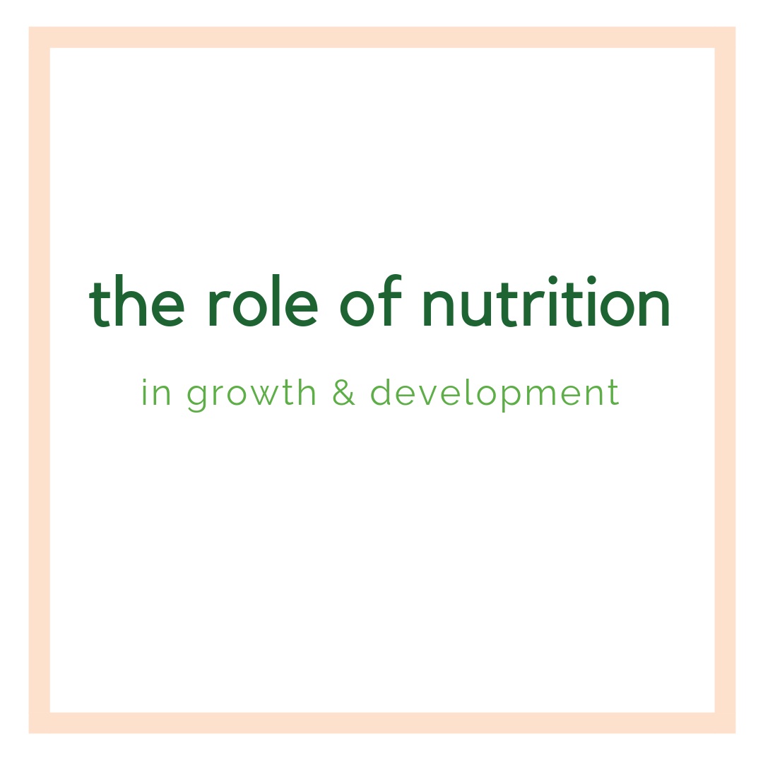 The Role of Nutrition in Child Development &nbsp;