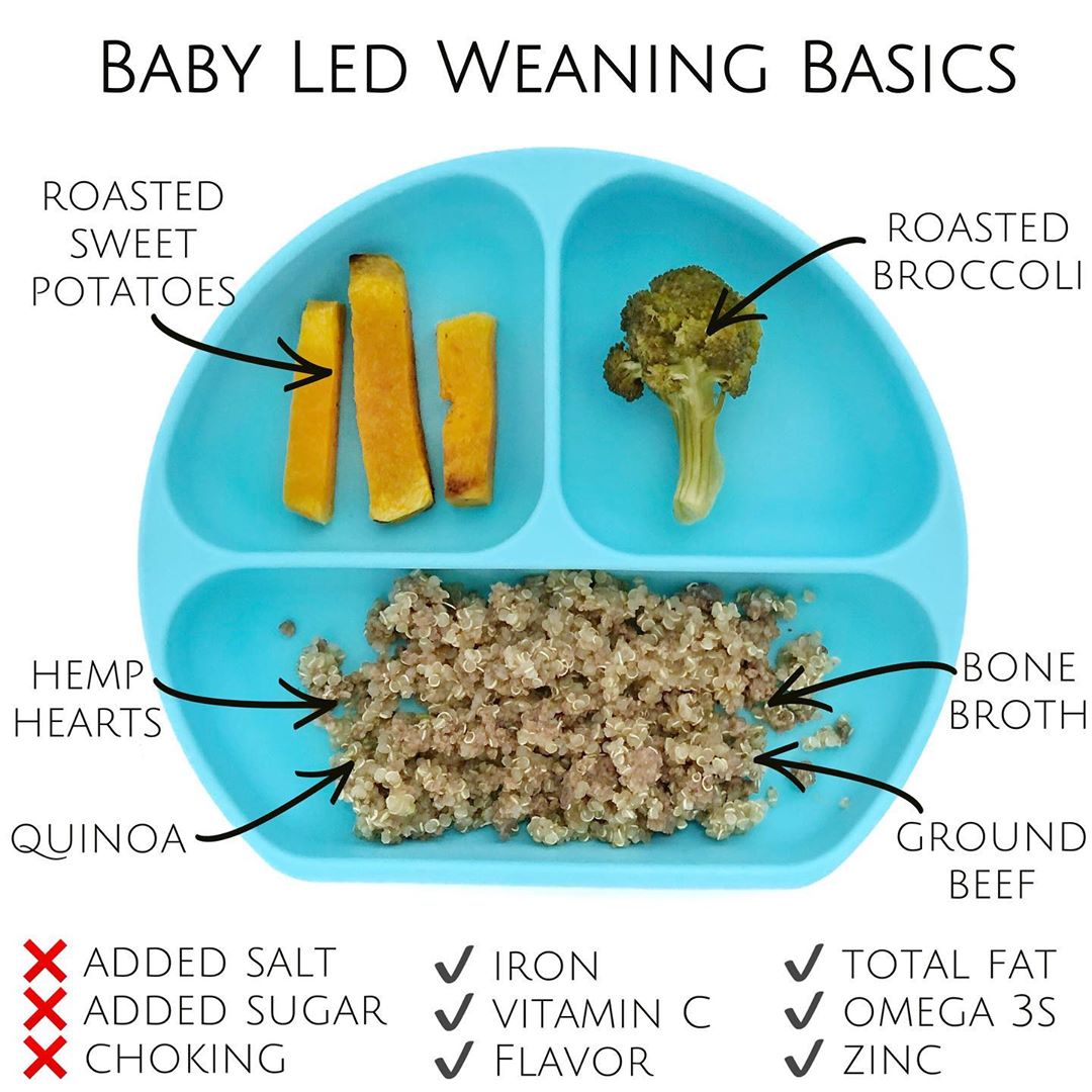 Baby Led Weaning Chart