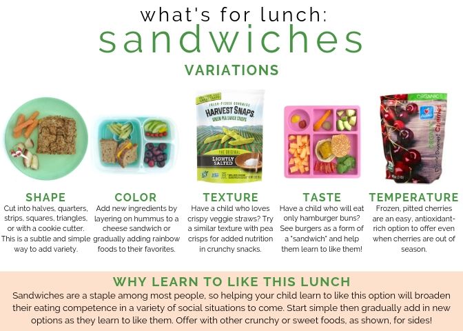 My Favorite School Lunch Supplies — Veggies & Virtue