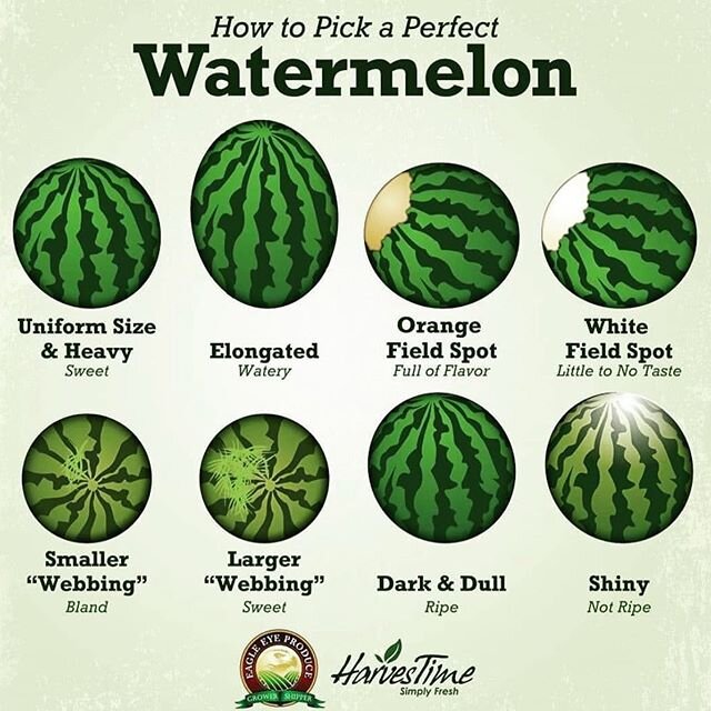 SUMMER: My fave produce season! 🍉

I&rsquo;ve tested ALL of the theories and would concur with these: Look for a dark yellowish spot, more webbing, and non-shiny skin!

Now - I wonder how neurotic I will sound if I put this in the notes of my next g