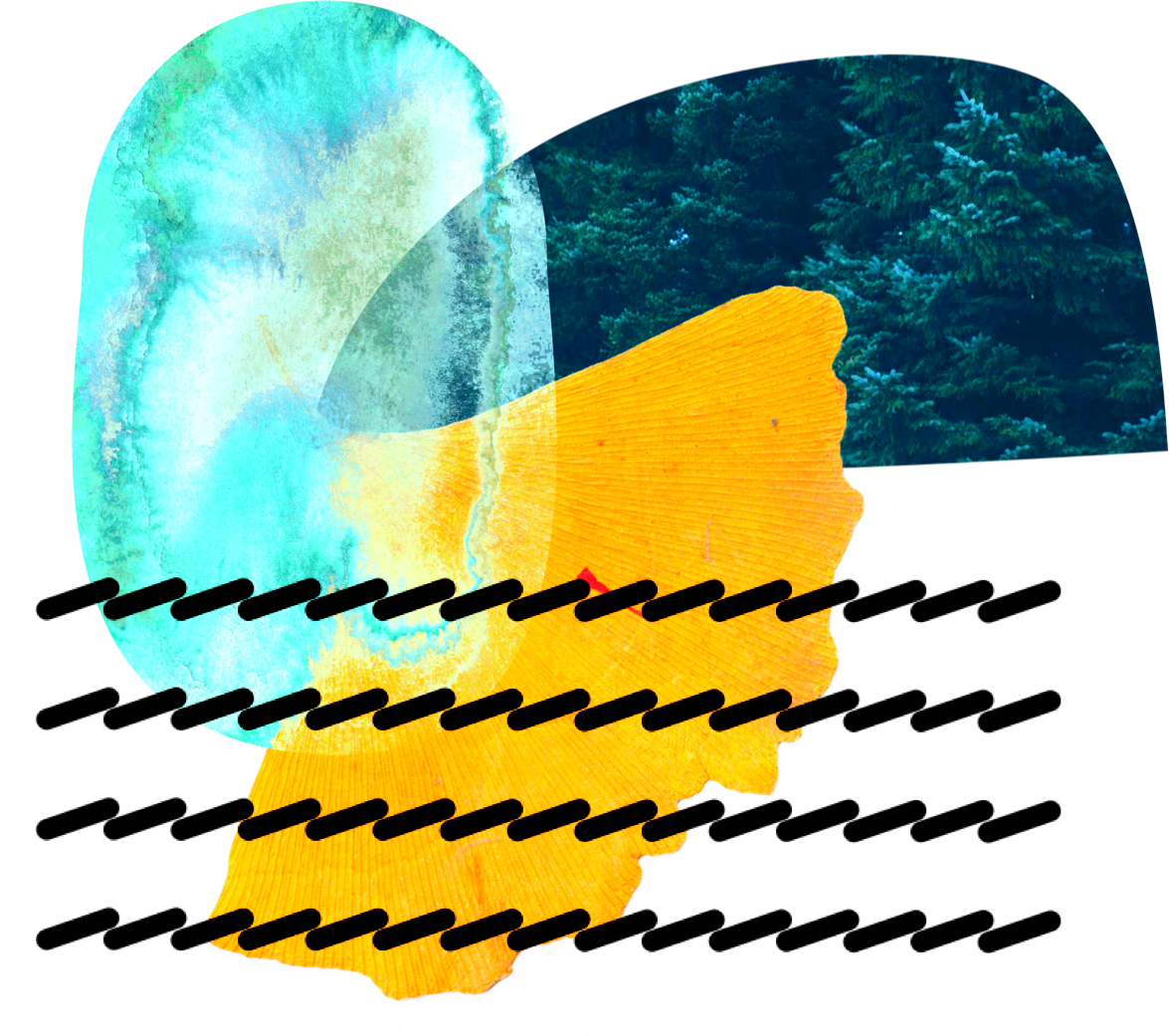 ConGraphic1-08-03.png