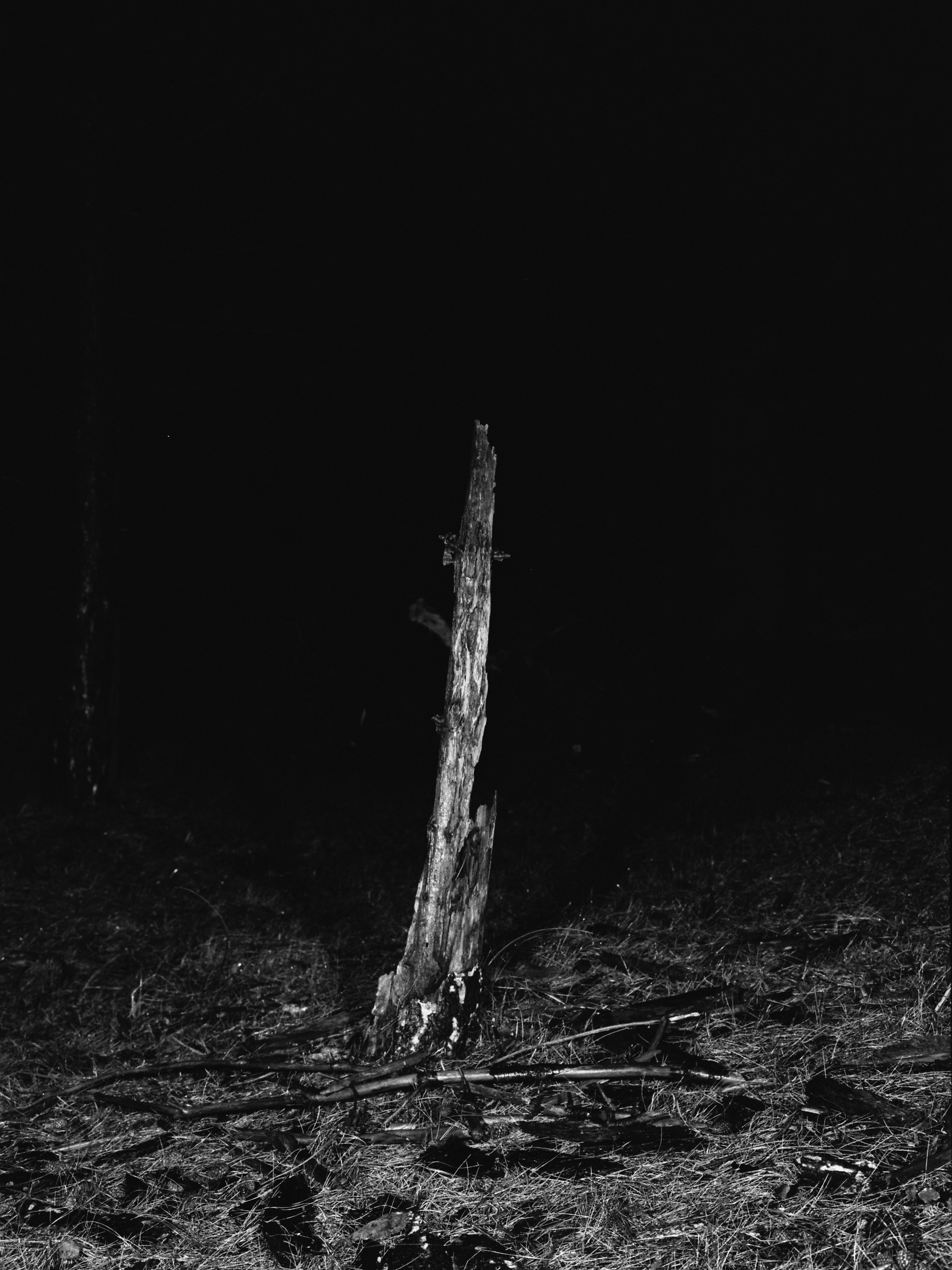 new work there's nothing out there.jpg
