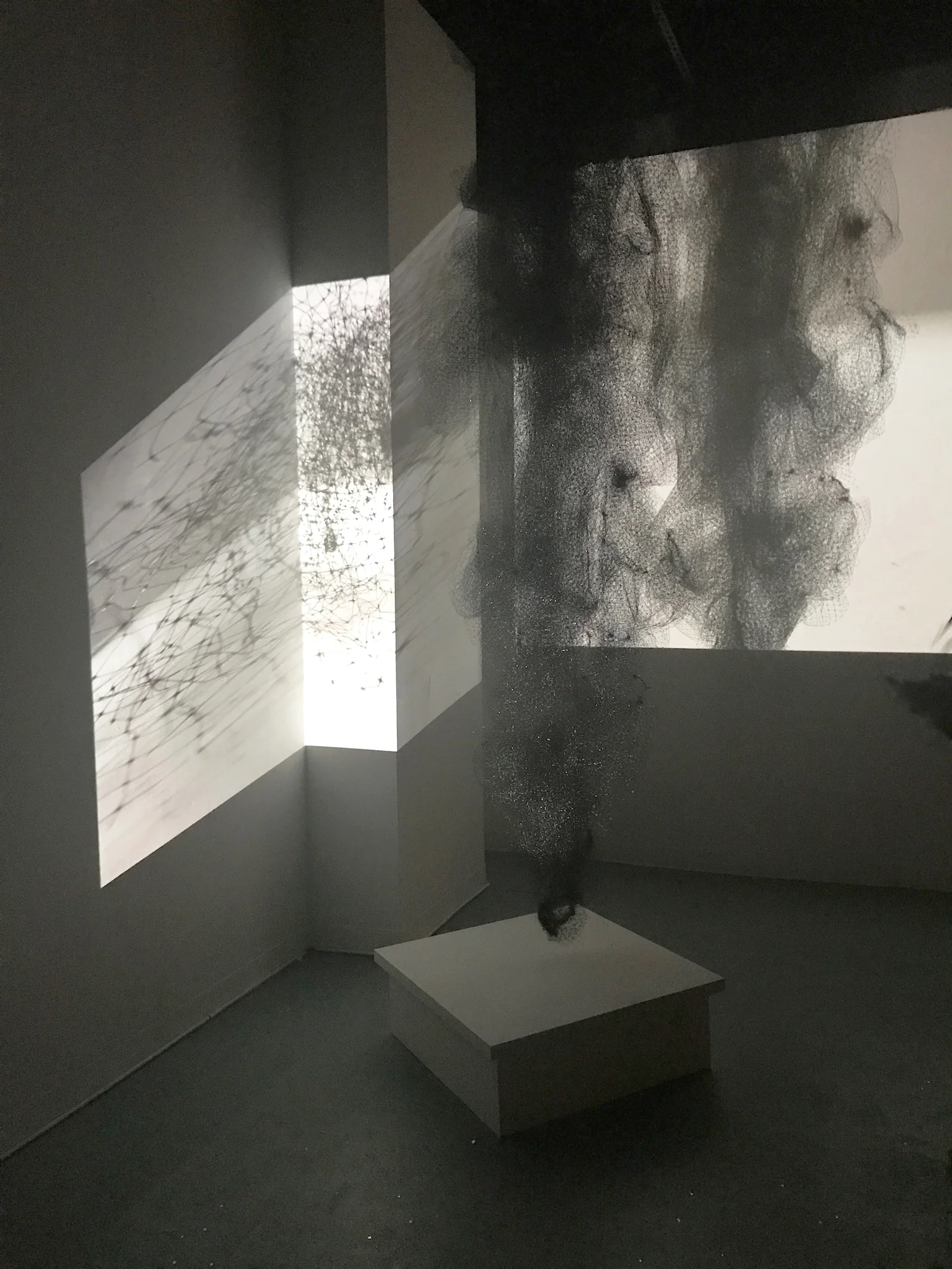   ...Other Inclinations (2017) (installation view)     