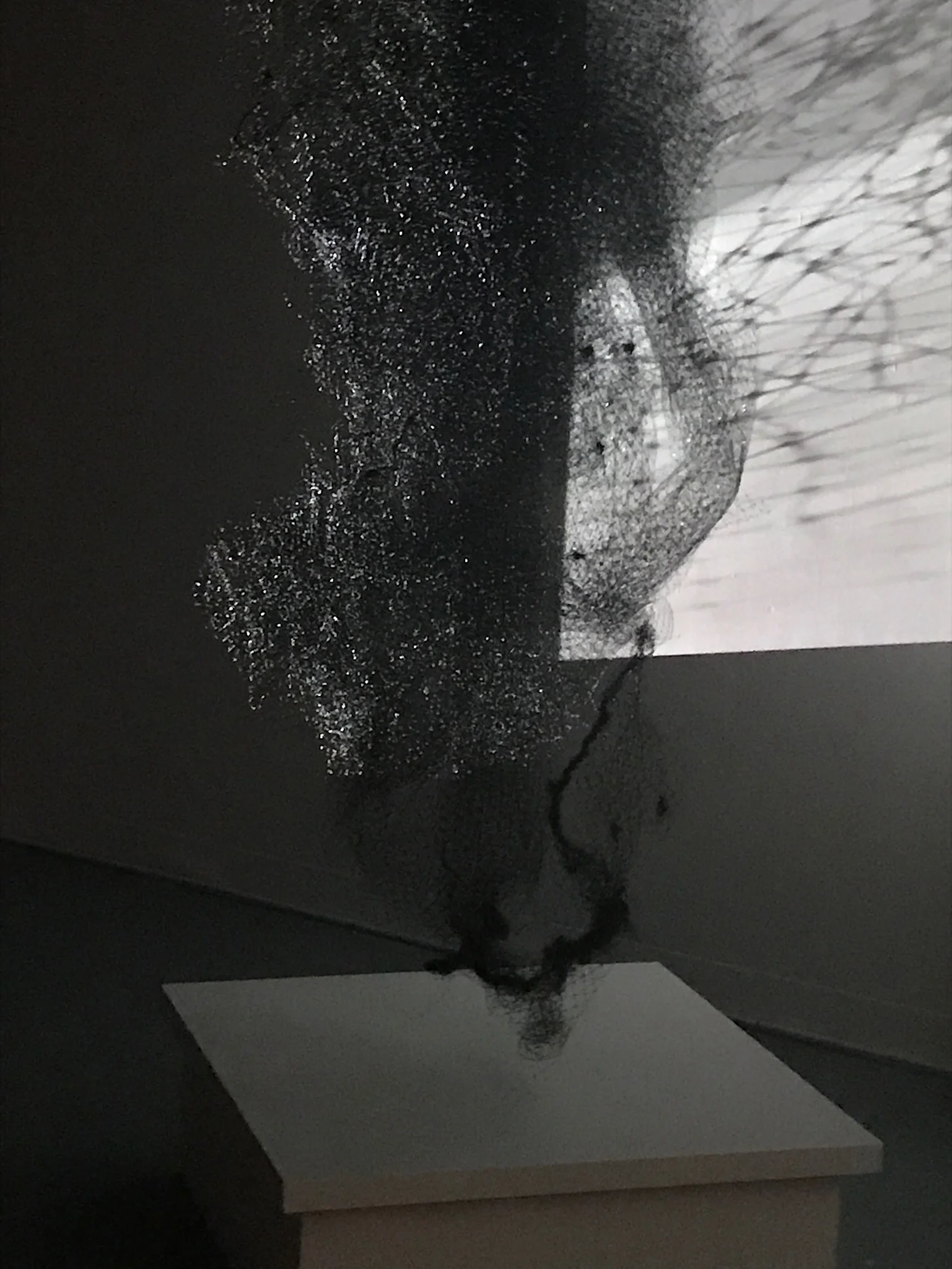   ...Other Inclinations (2017) (detail view)     