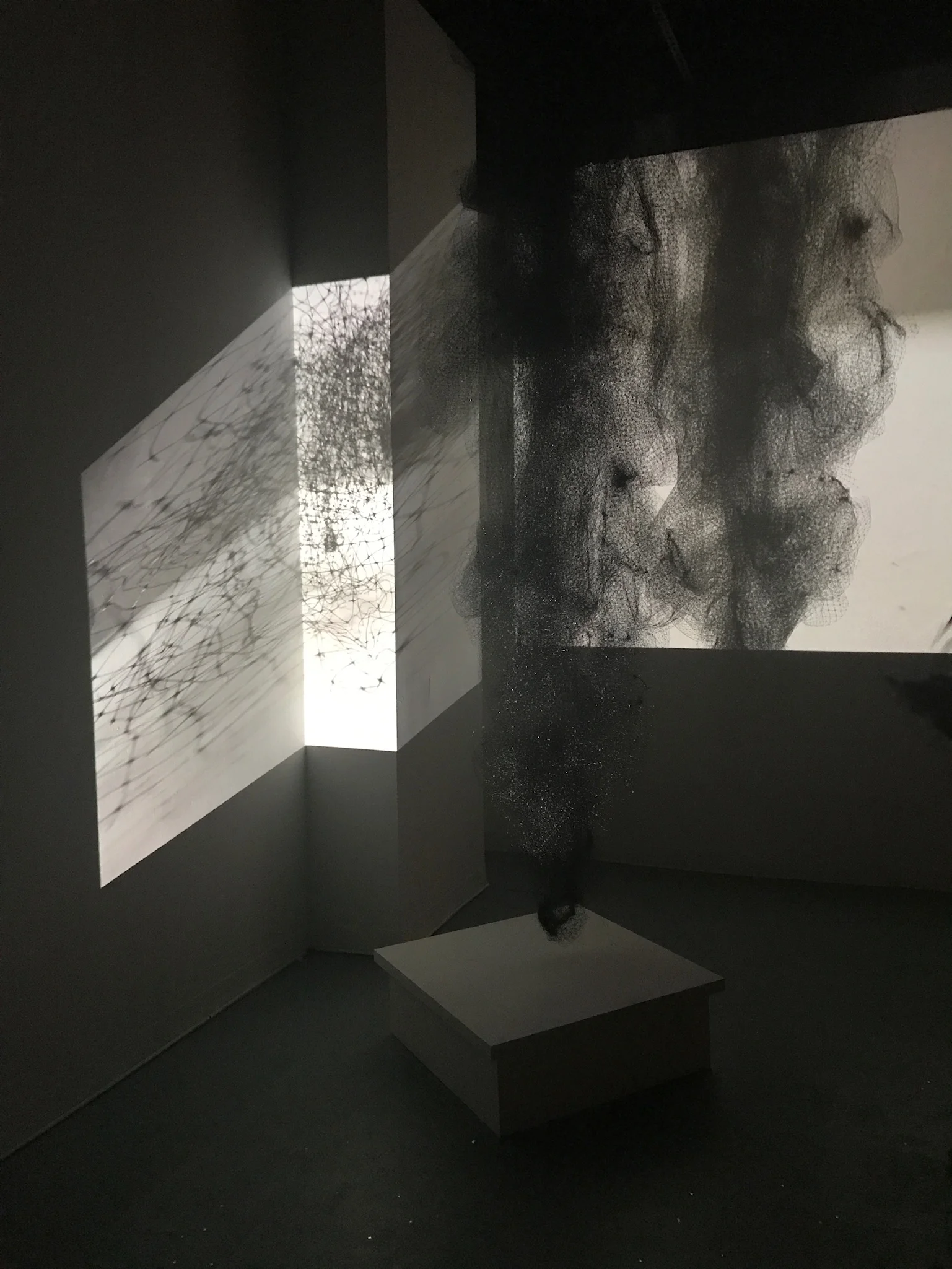  Other Inclinations, 2017, installation 