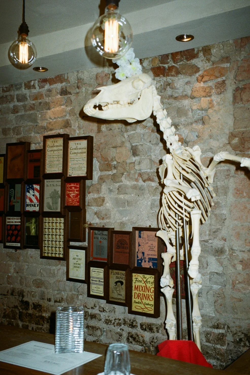 IMG_6993.jpg