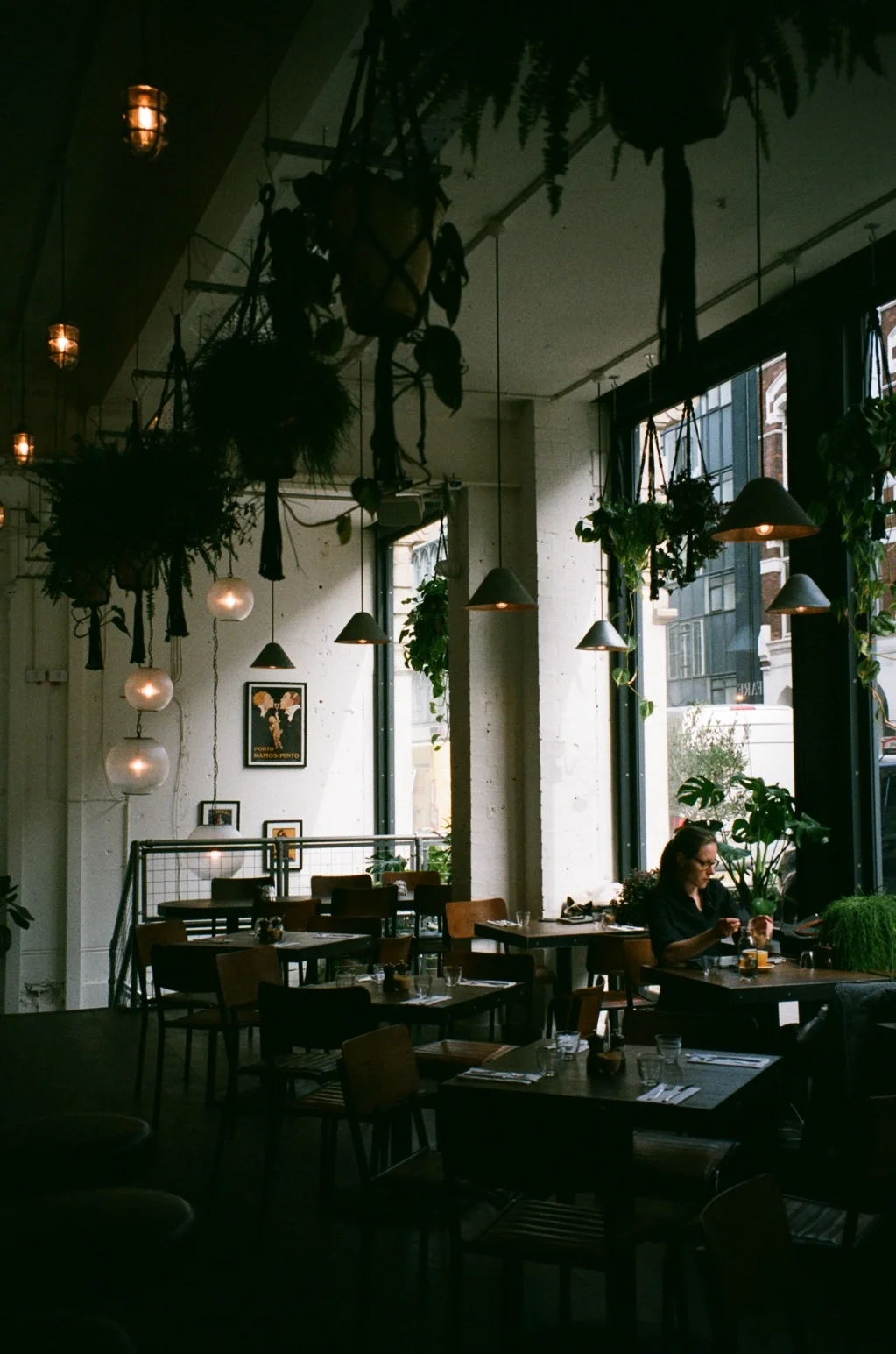 07890017.jpg