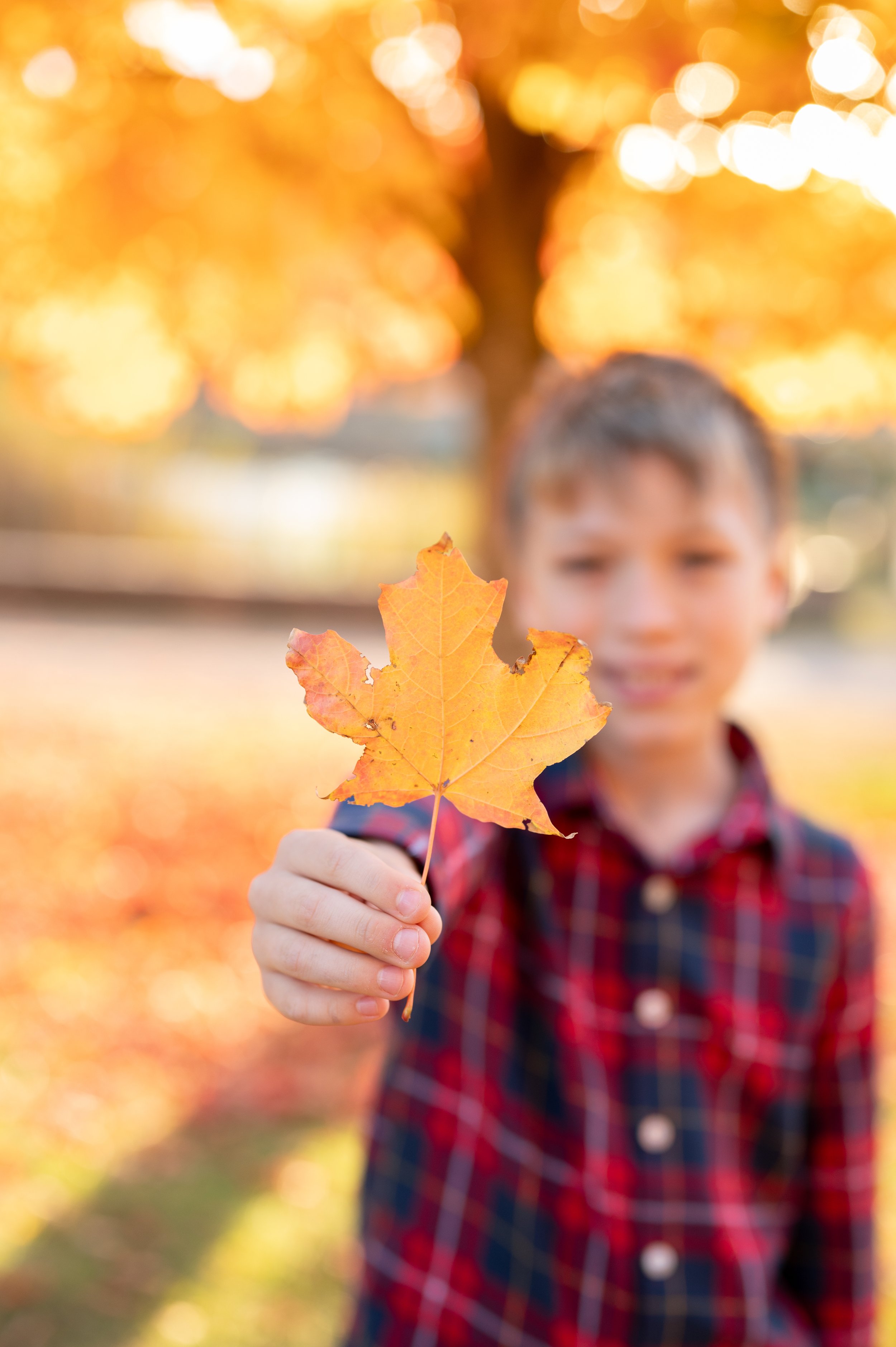 Rye Town Park in fall leaves foliage