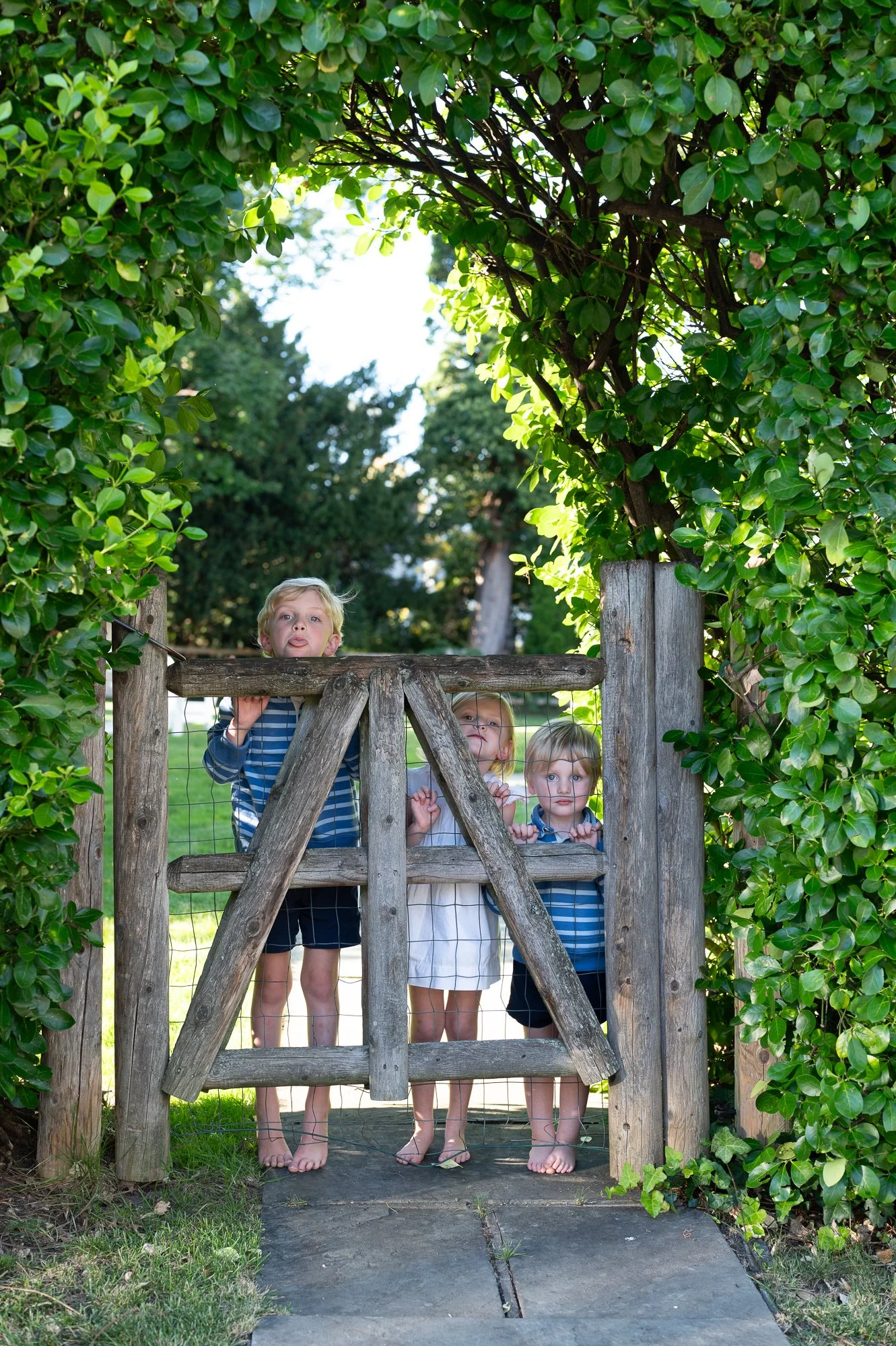 westchester conneticut greenwich family portrait photographer kate hart finnigan.jpg