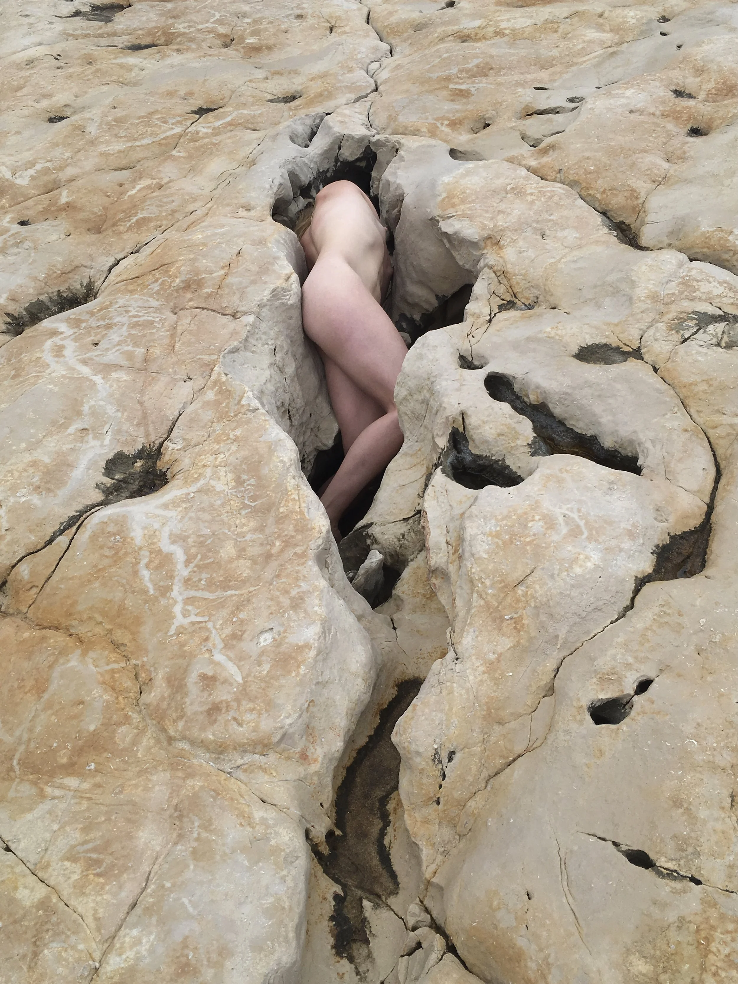 In the Cracks and Crevices 2016-2021