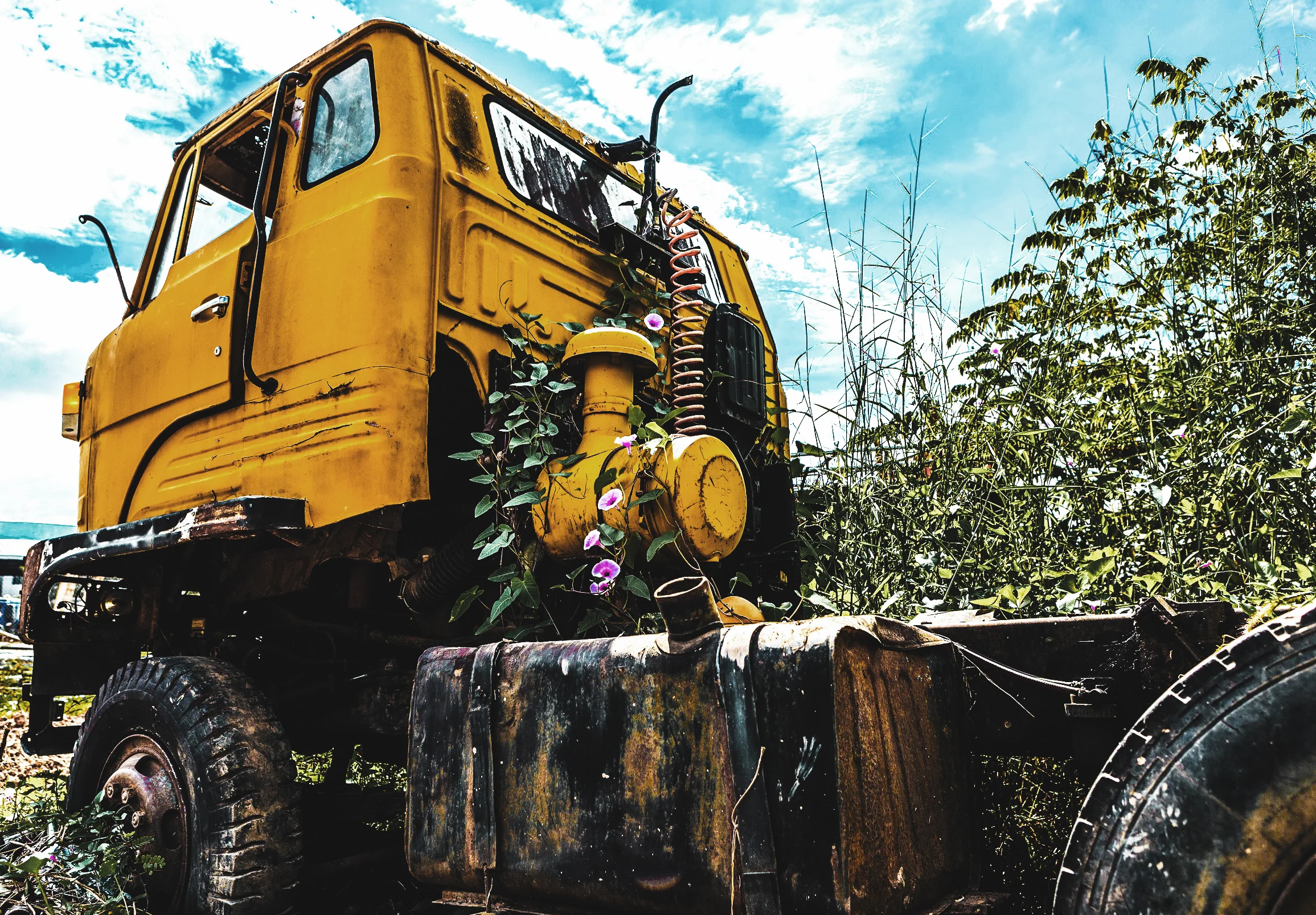 truck flowers.jpg