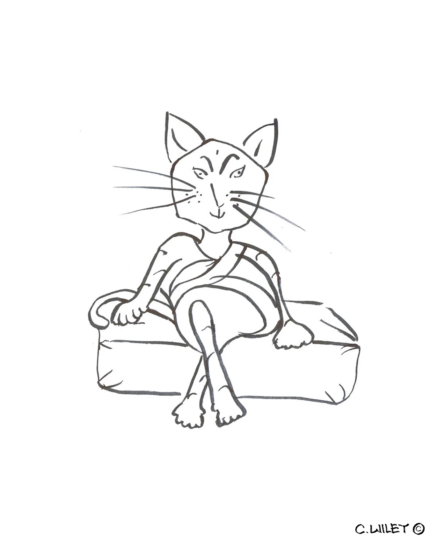 yogacat.jpg