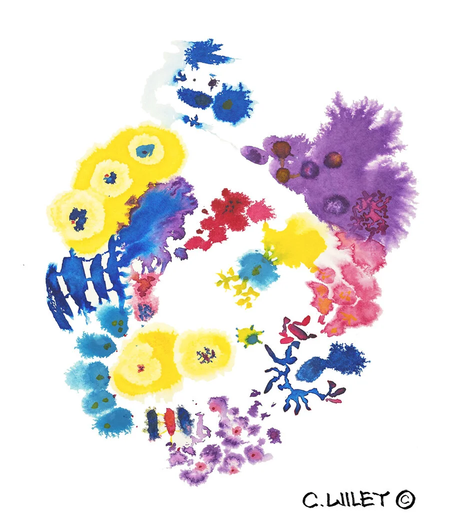 purplepoofcoralflower-copyright-small.jpg