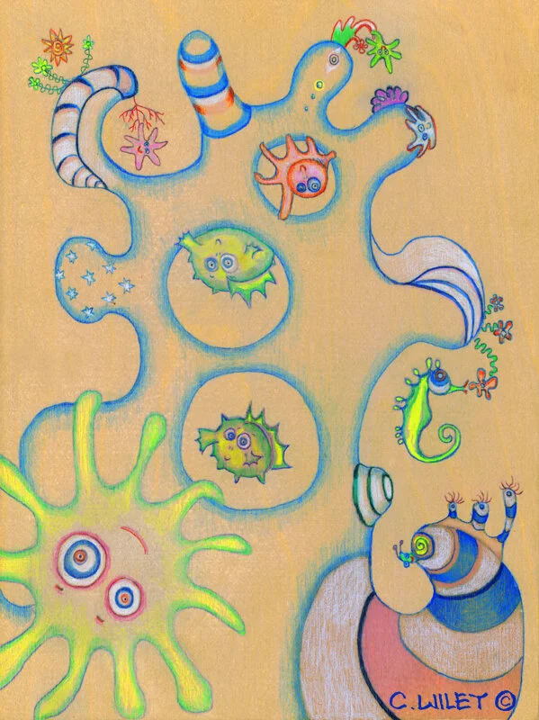 Octopuses-Garden19x12ishmultiplied.jpg