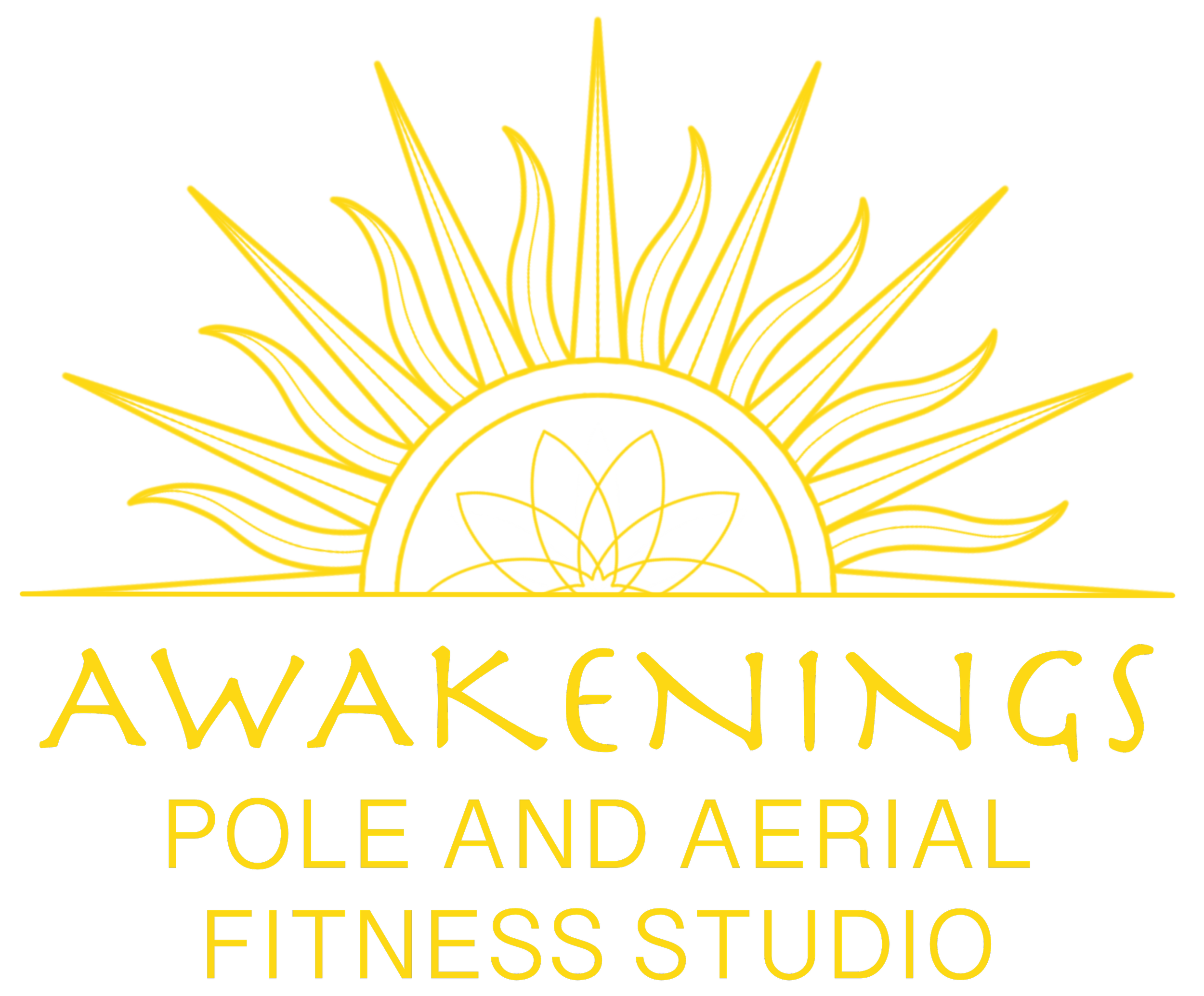 Awakenings Pole Fitness - Pole Parties, Fitness Classes, and Aerial Arts in New Orleans
