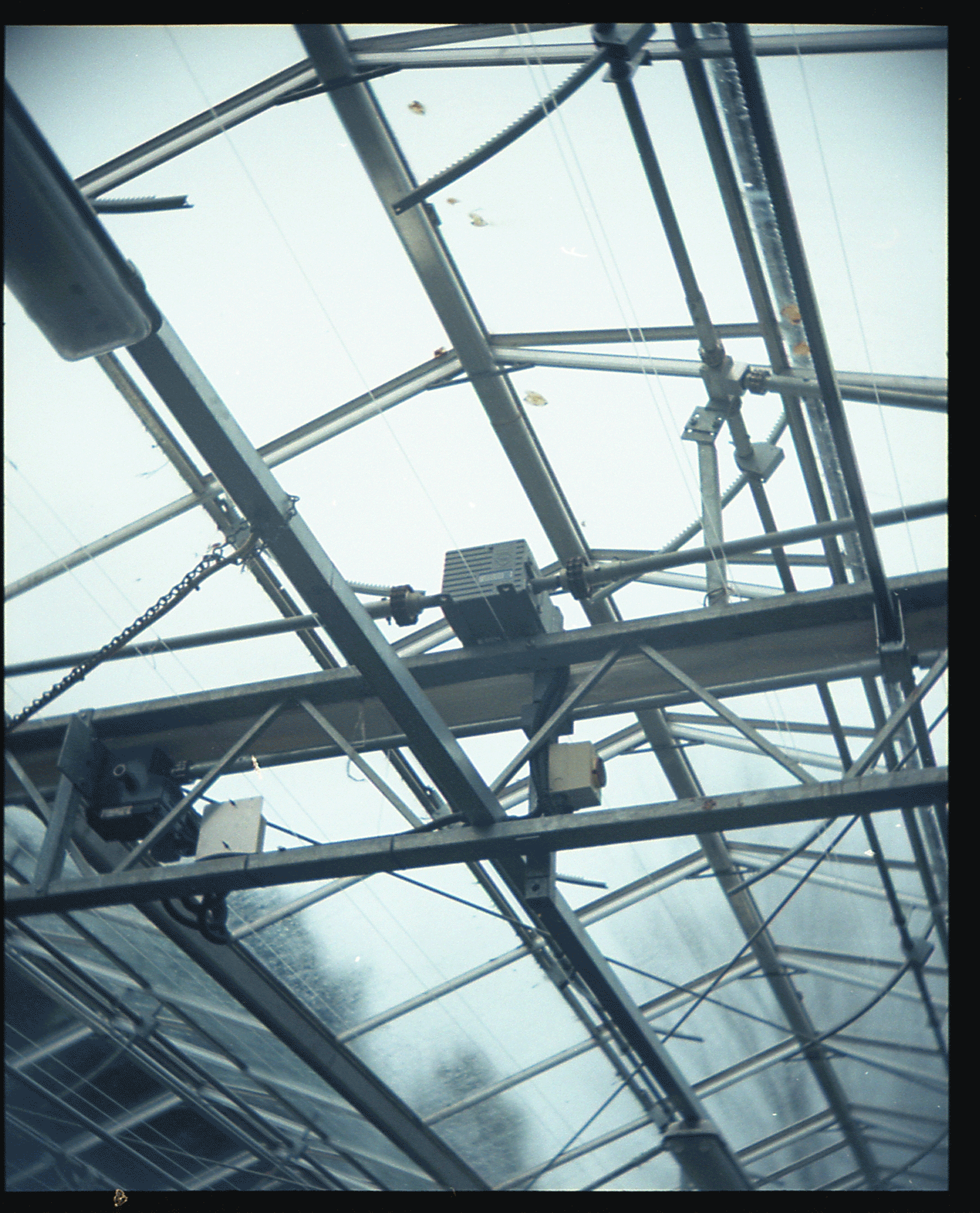 Cans037.gif