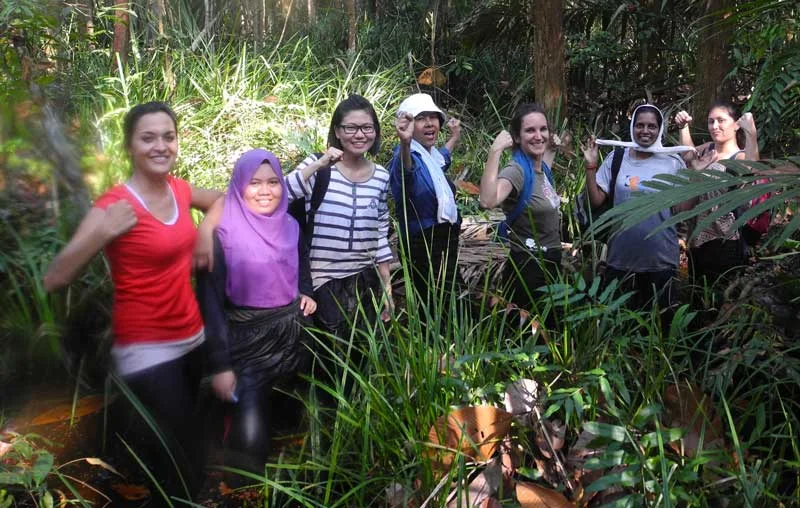 TFT...From Forests to Earth!