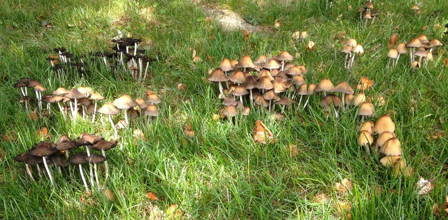 Why ScottPoynton.com?