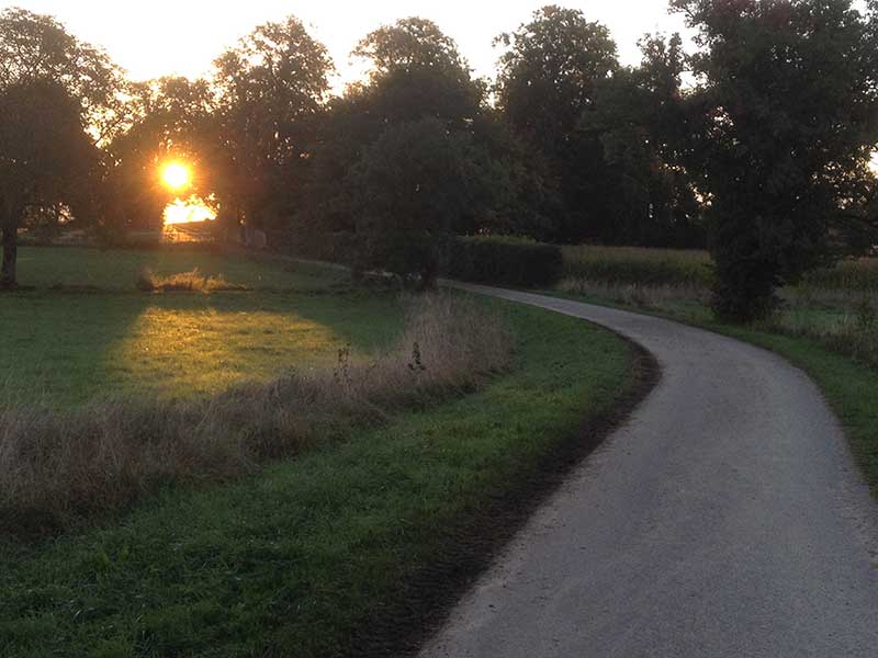 What next for Palm Oil in 2015?