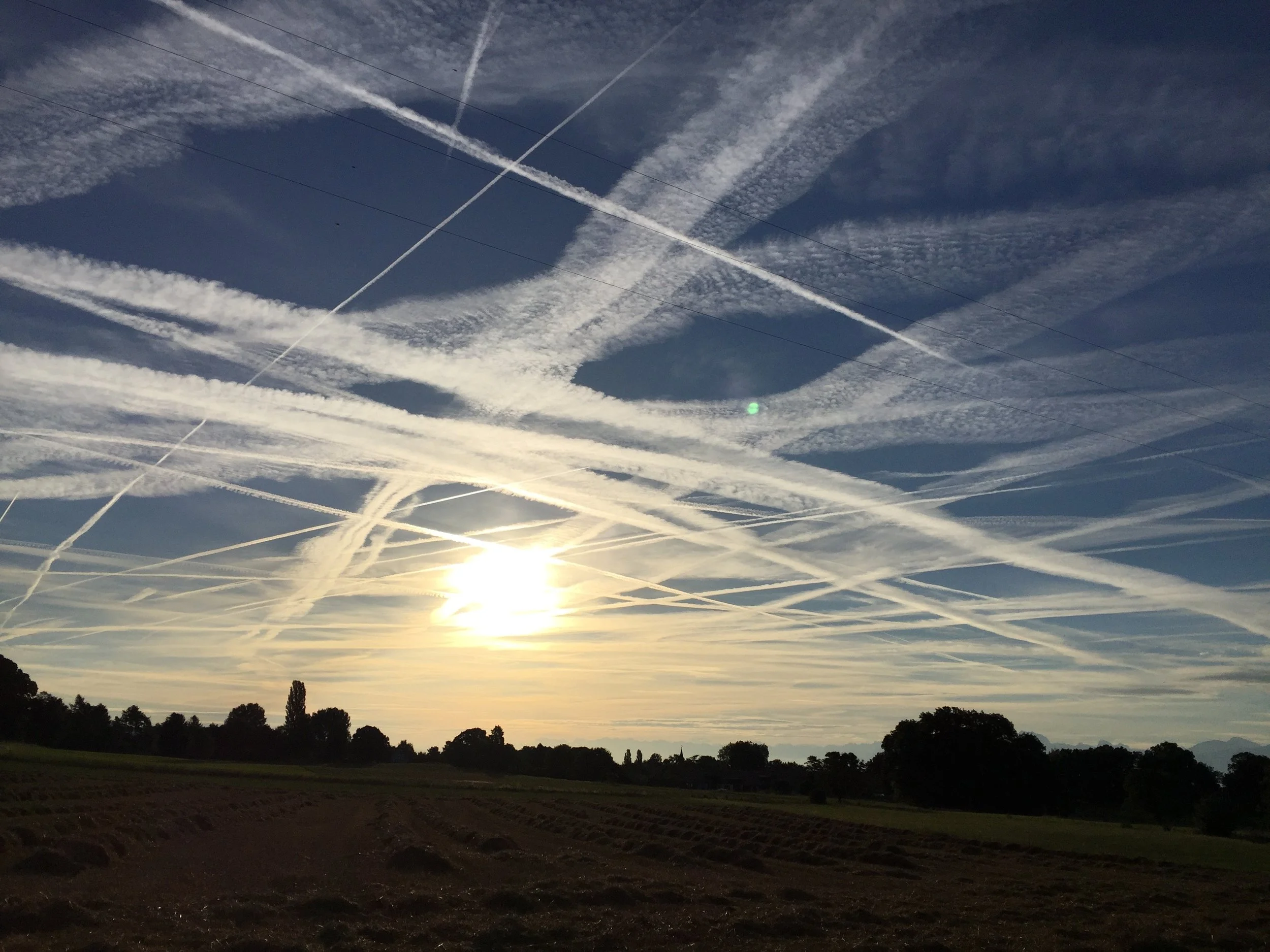 Is purchasing eco-labelled products a concrete, accessible entry point for the average Joe?