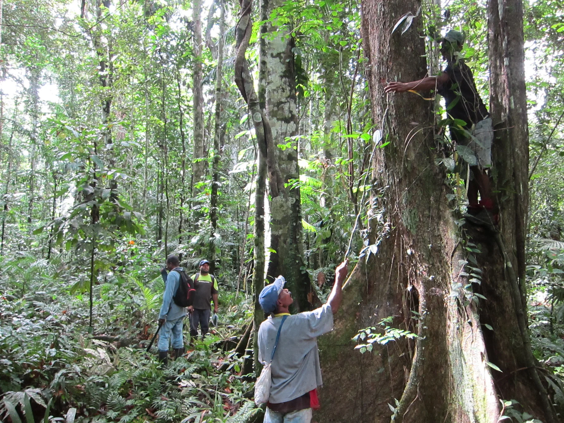 Forests first, people second?