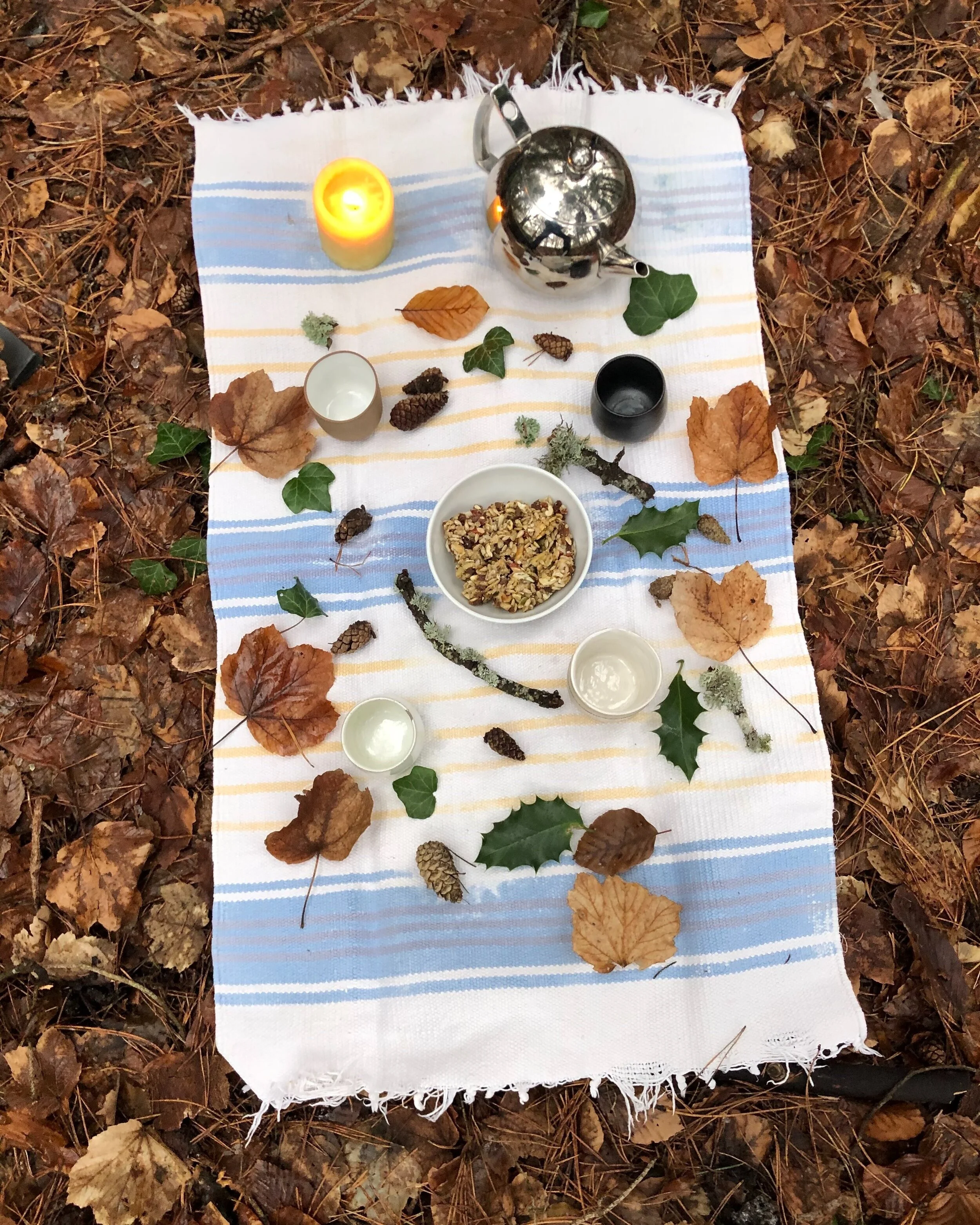 When the Forest Sent a Dog Song