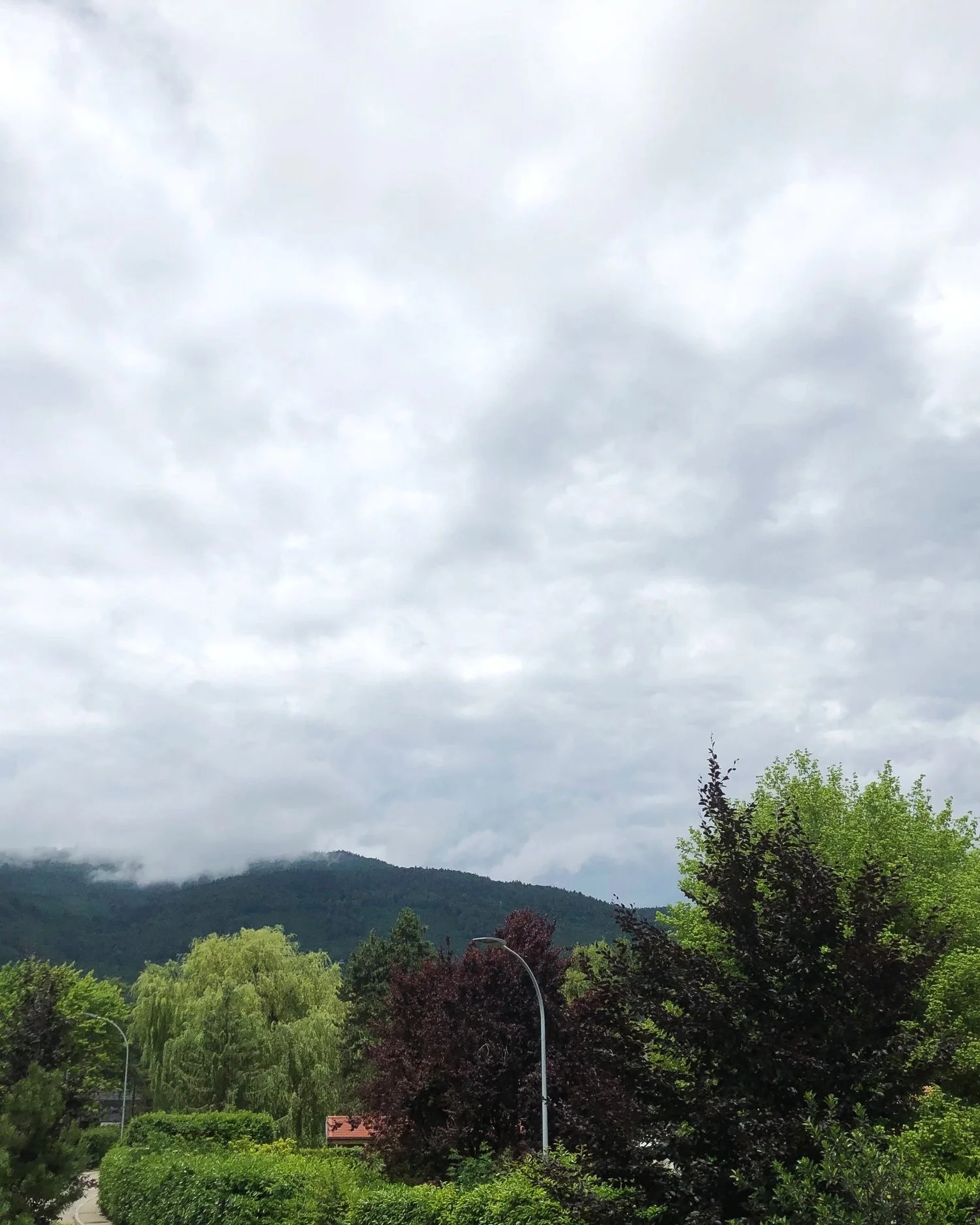 Feeling Good Removing Carbon From The Atmosphere