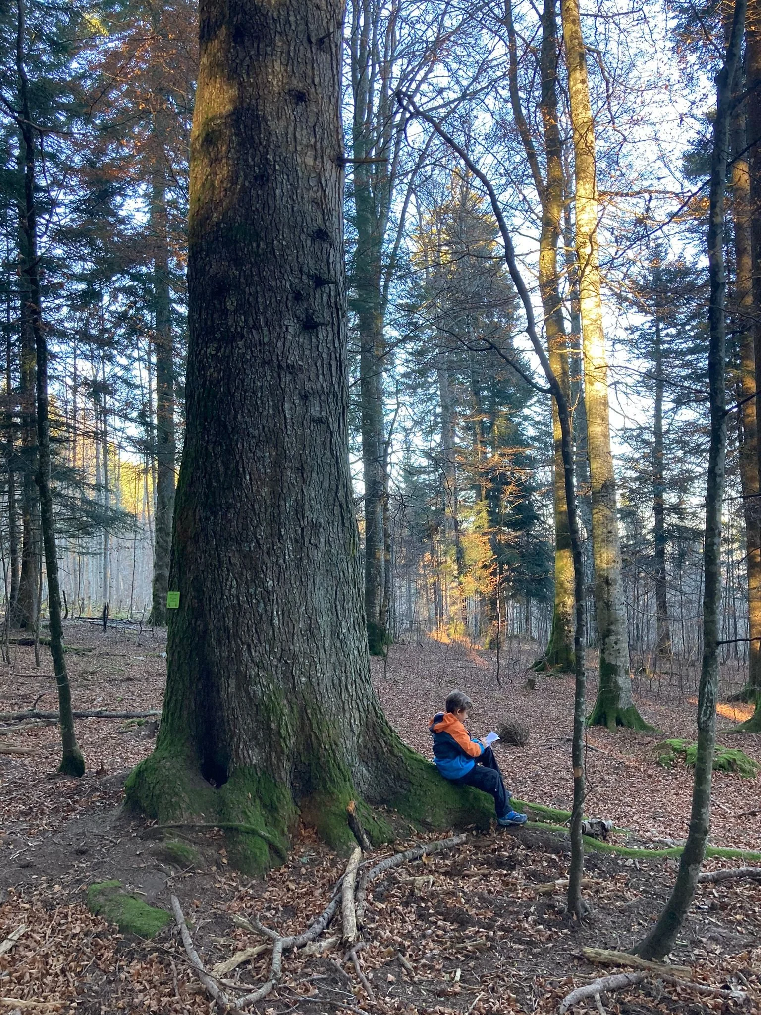 The Ancient and the Boy