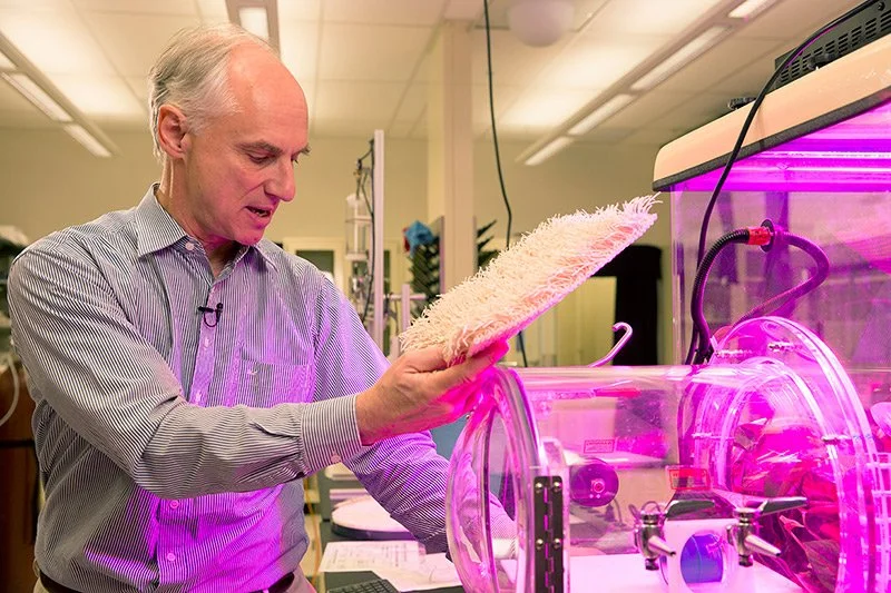 Klaus Lackner: Getting carbon out of the atmosphere