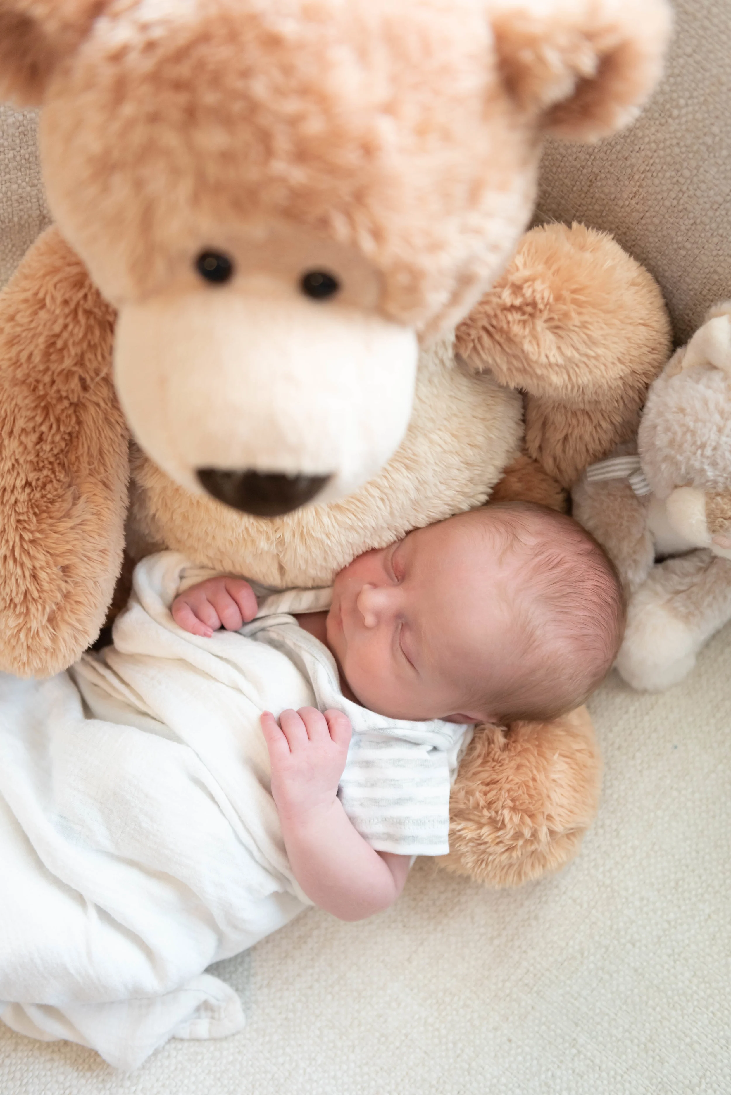 Driedger Newborn-0101.jpg