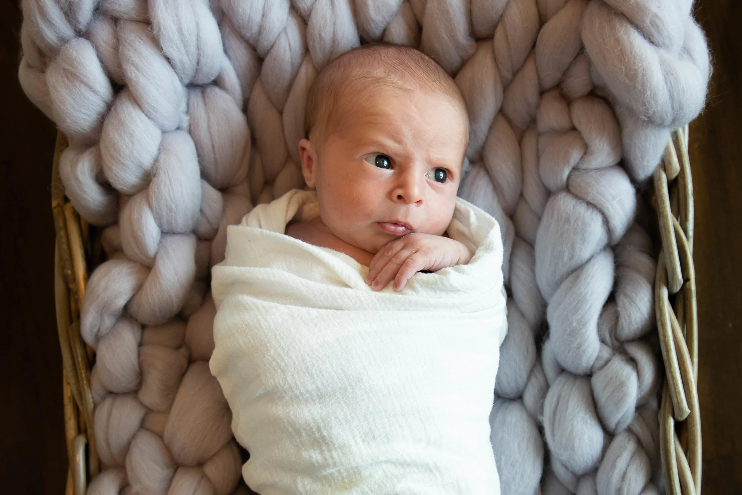 DriedgerNewborn-0273.jpg