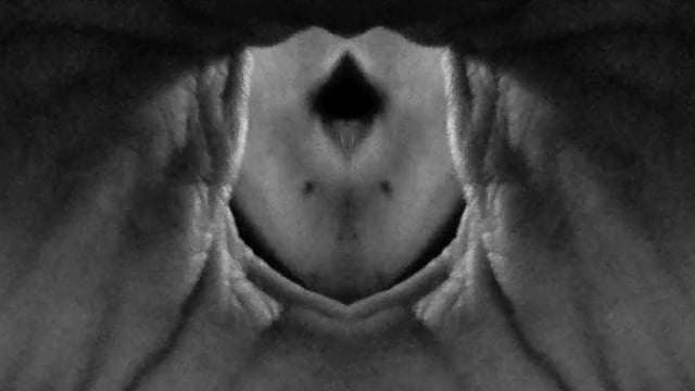 Holes In The Universe II