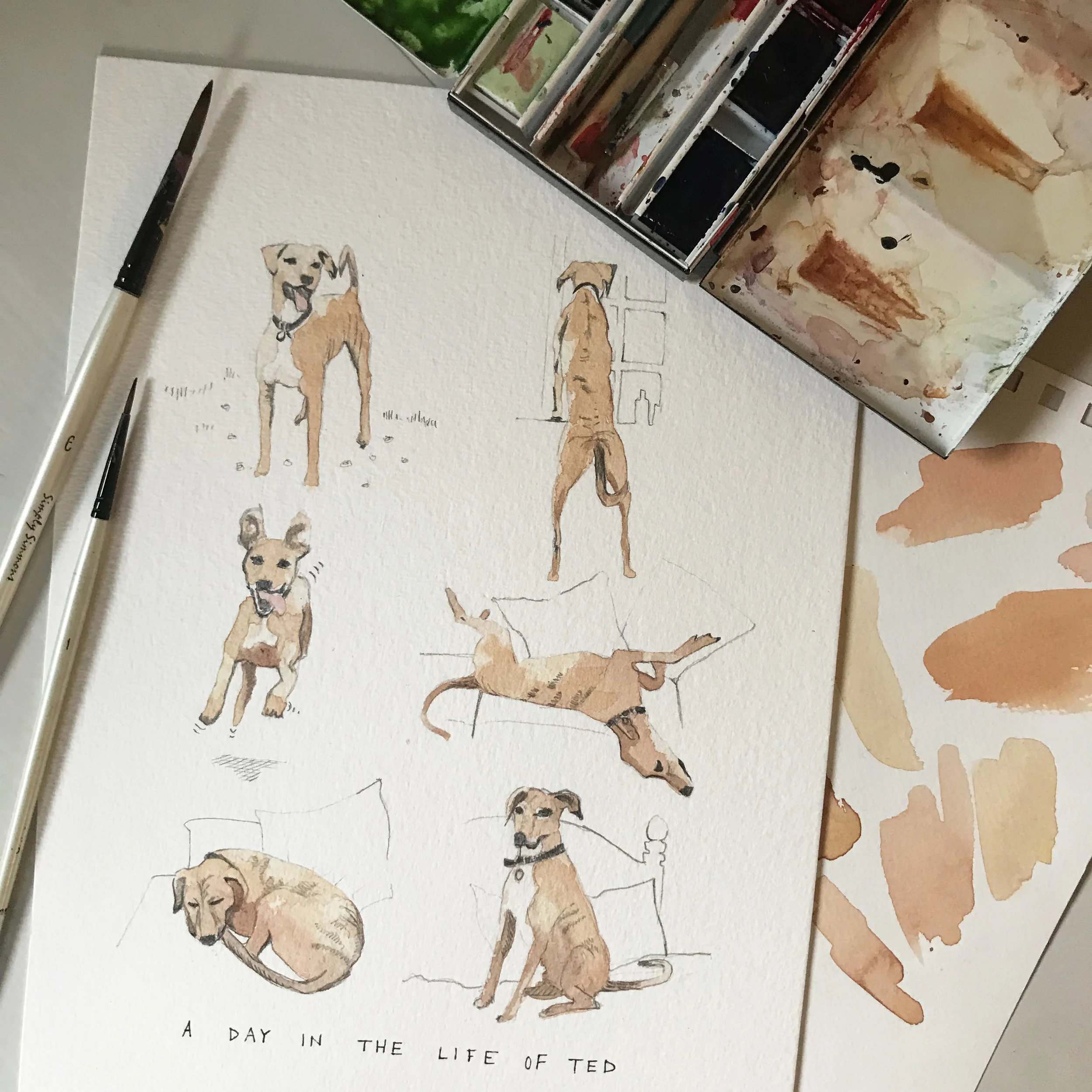flatlay image of watercolour painting of pet portrait 