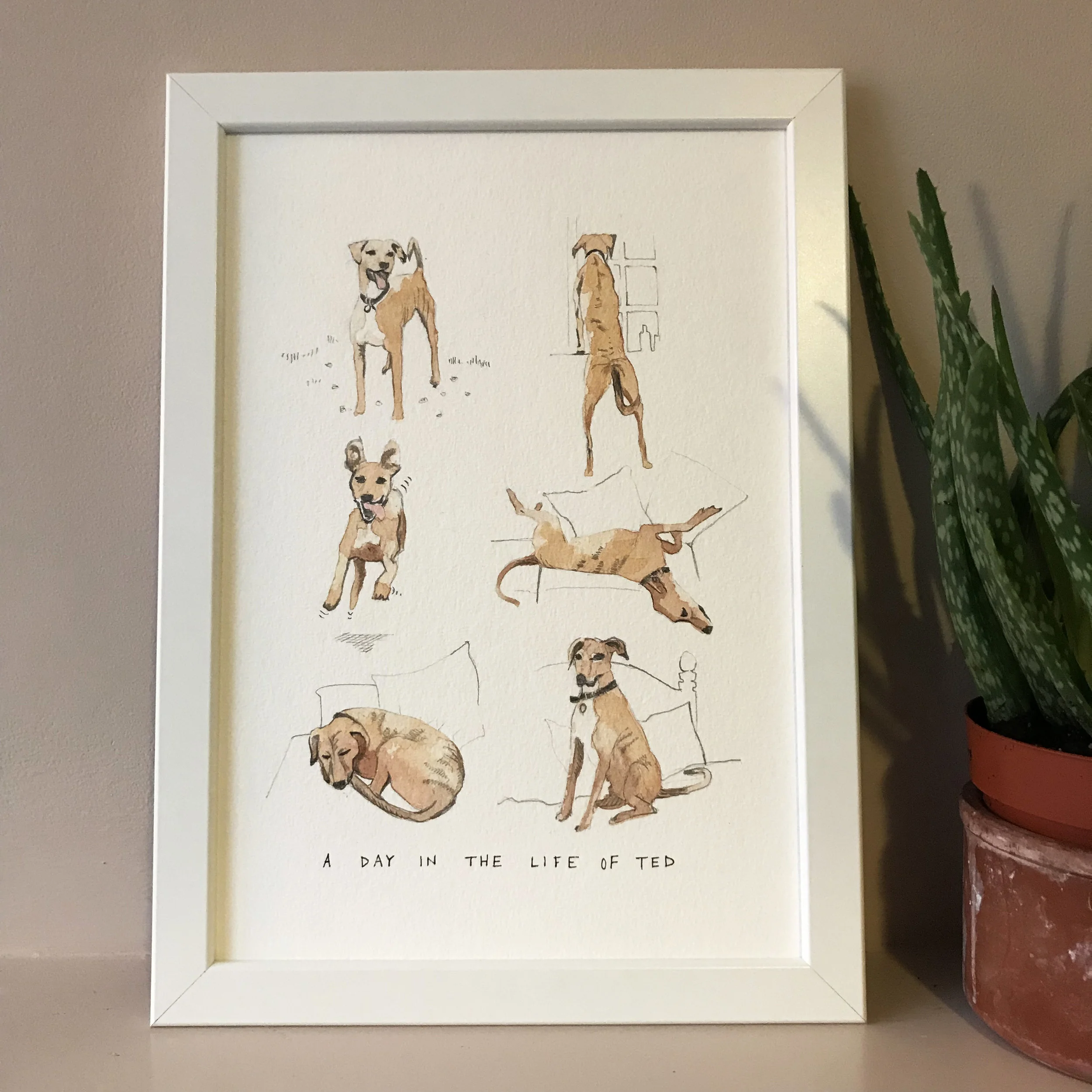 illustrated watercolour pet portrait in white frame
