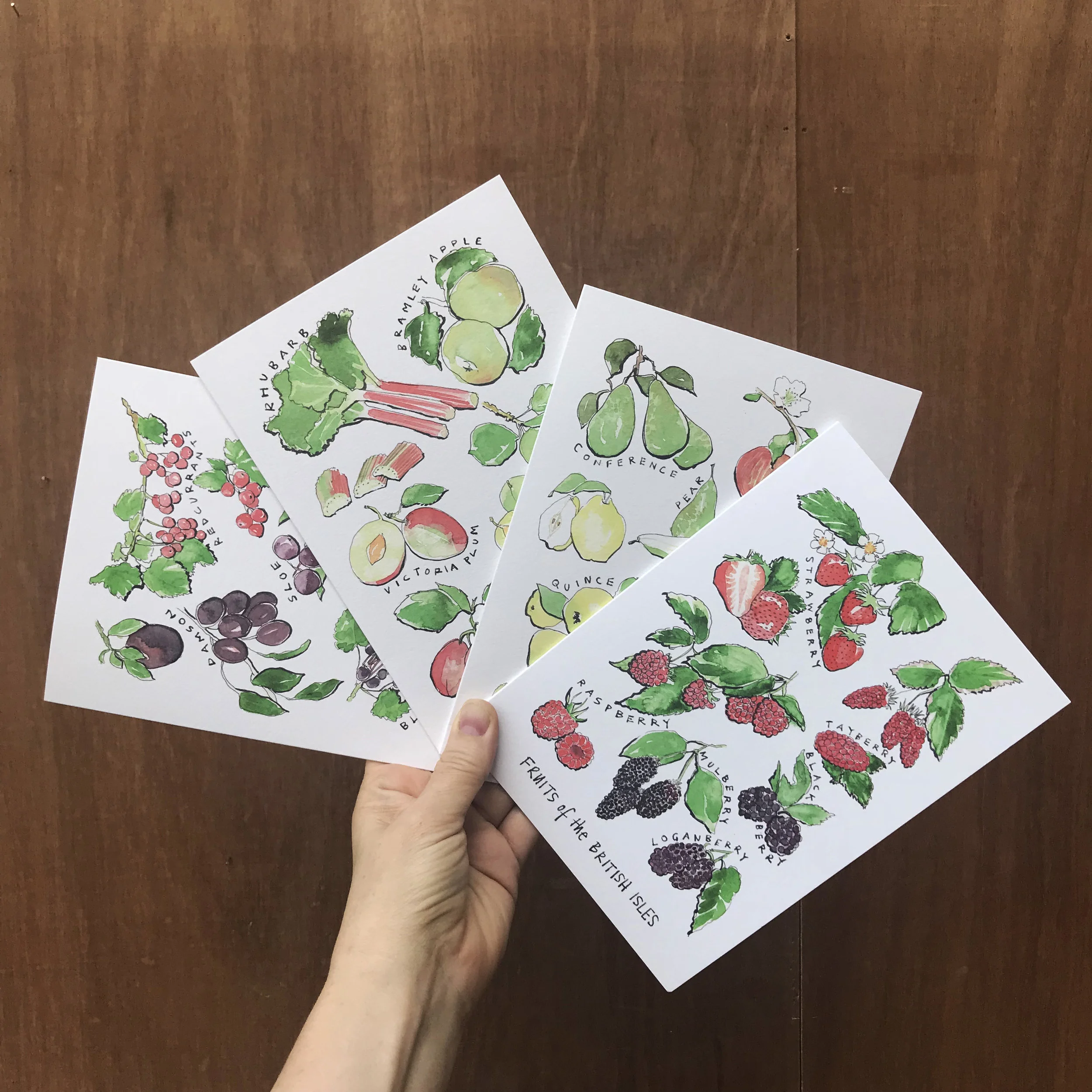 Rebsville-illustrated-card-fruit-greetings-vintage-recipe-cards-4.jpg