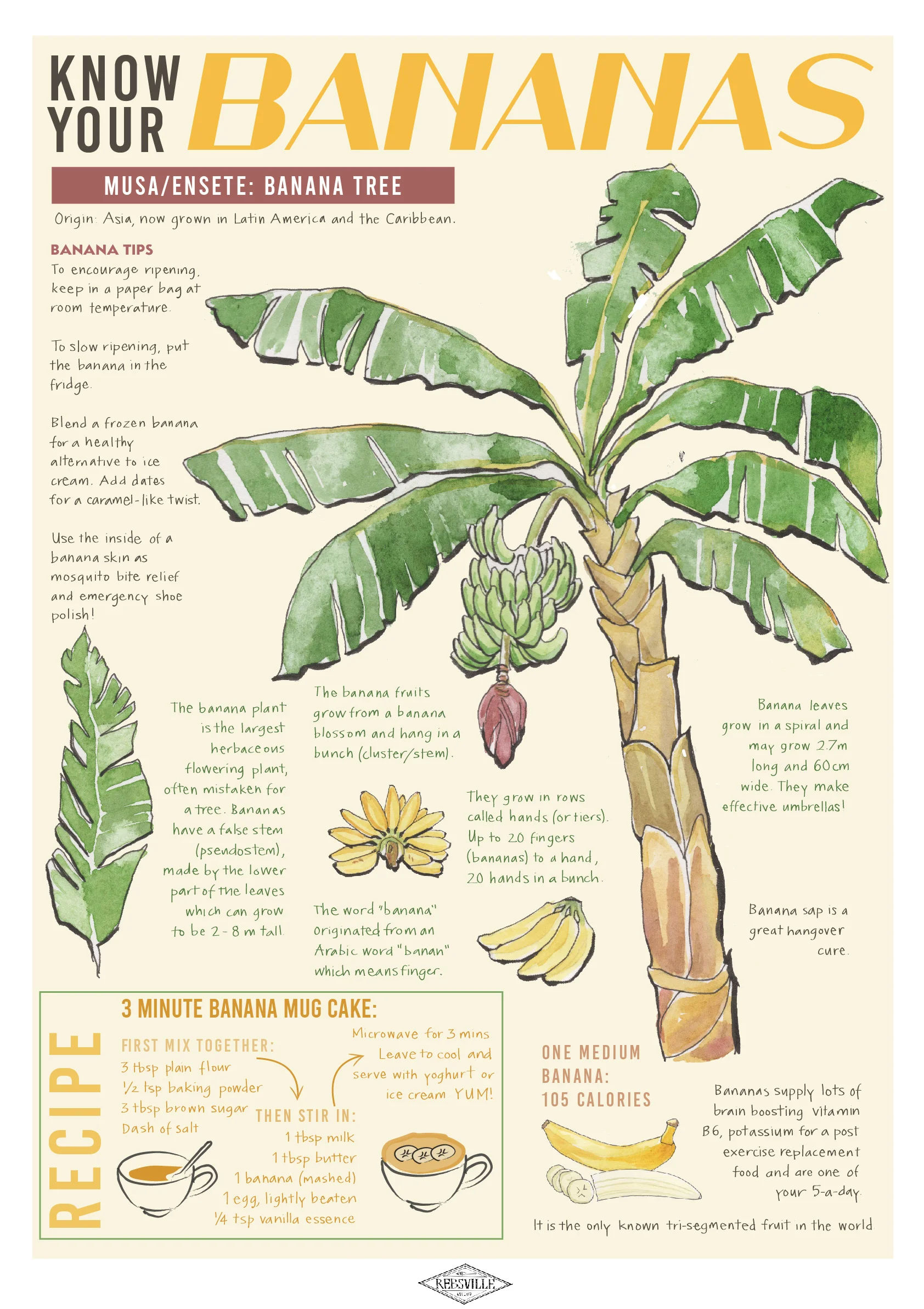 final fruit prints-04.jpg